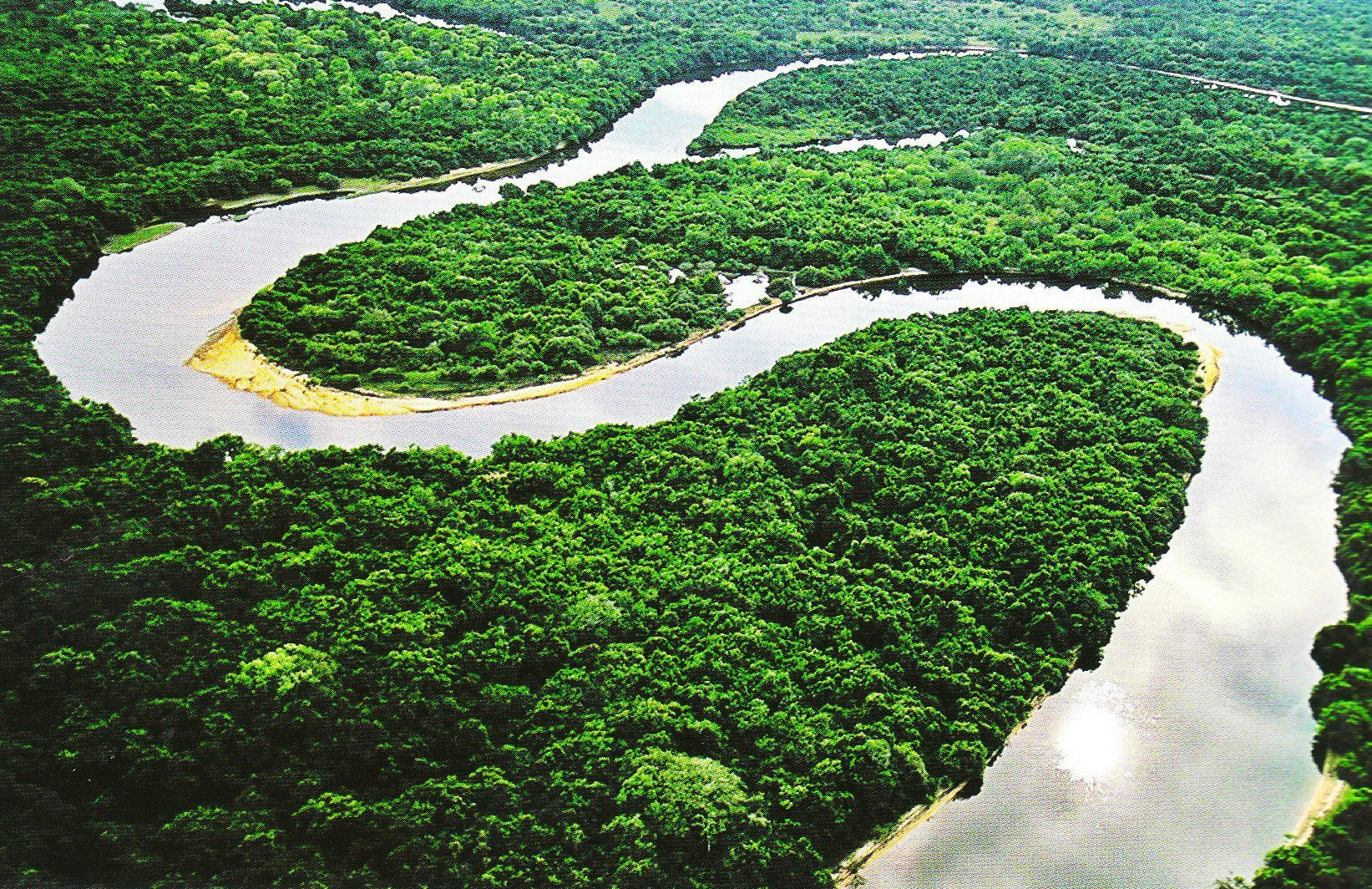 Амазонская низменность Сельва