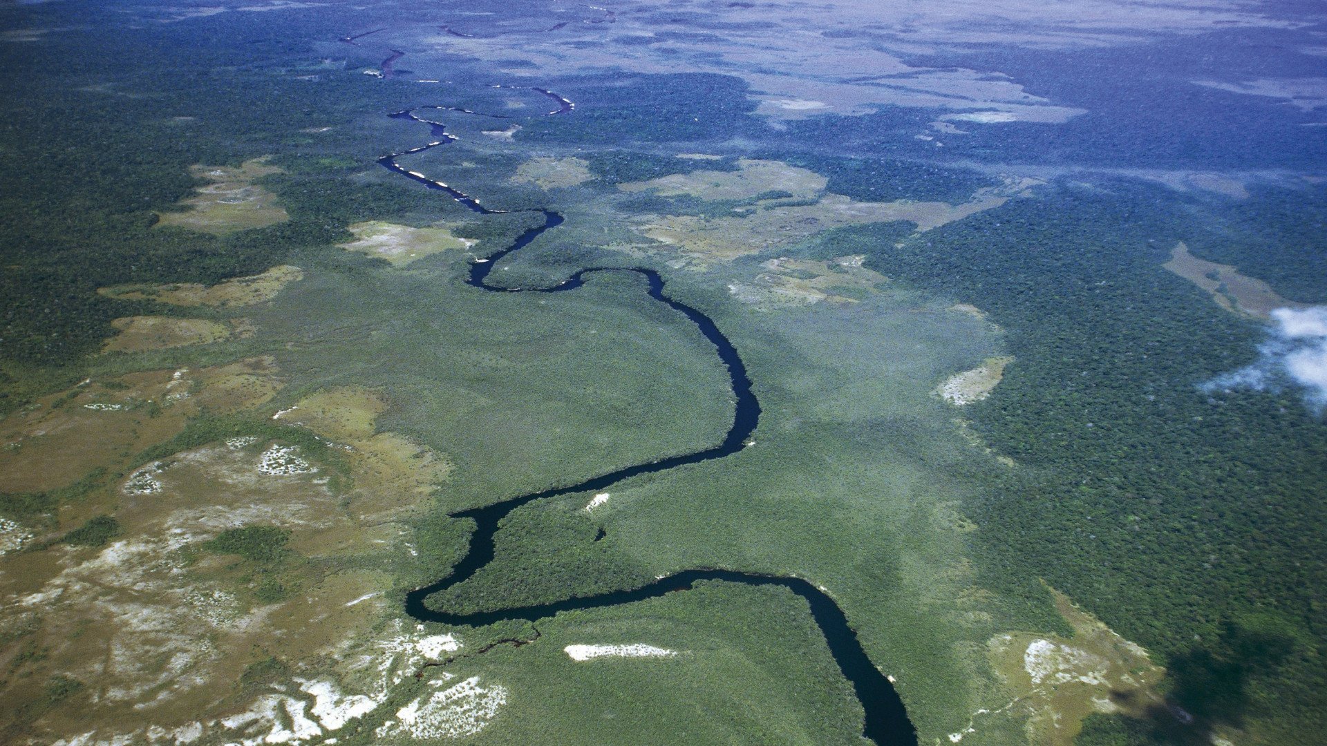Направление реки ориноко. Река Ориноко Южная Америка. Дельта Ориноко Венесуэла. Амазонка и Ориноко. Река Амазонка Ориноко.