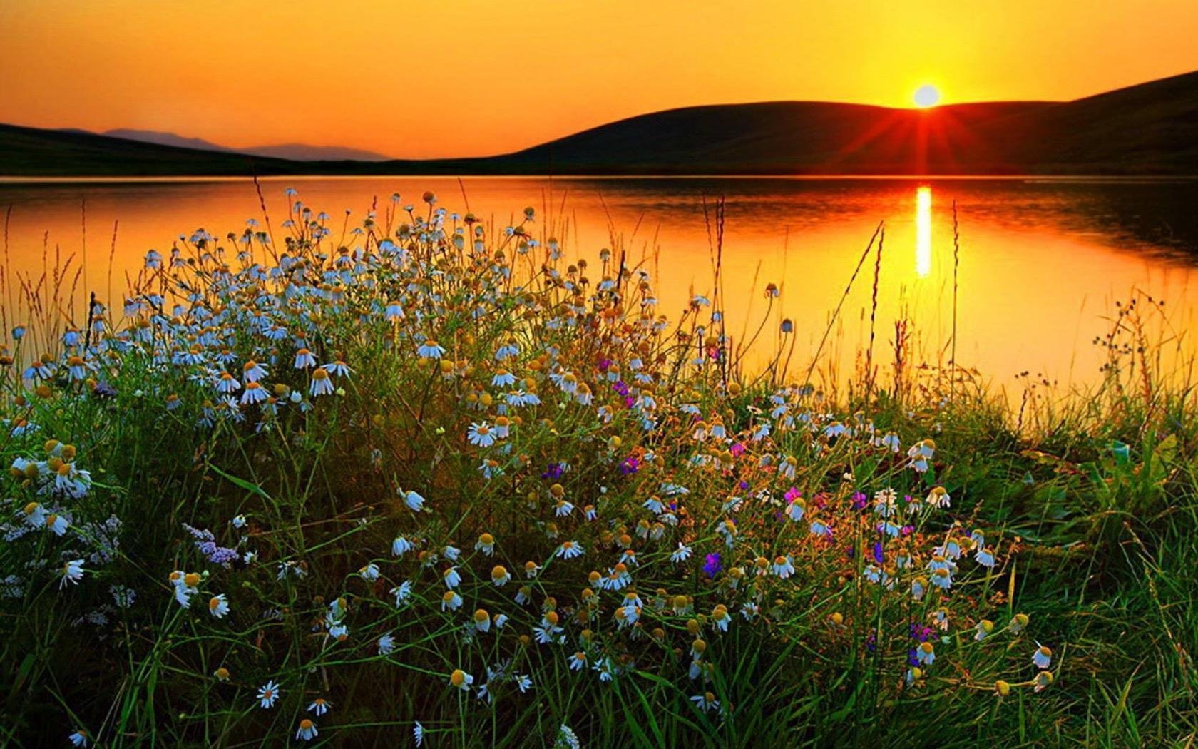 Спокойной утро природа. Рассвет летом. Рассвет солнца. Вечерняя природа. Весенний рассвет.