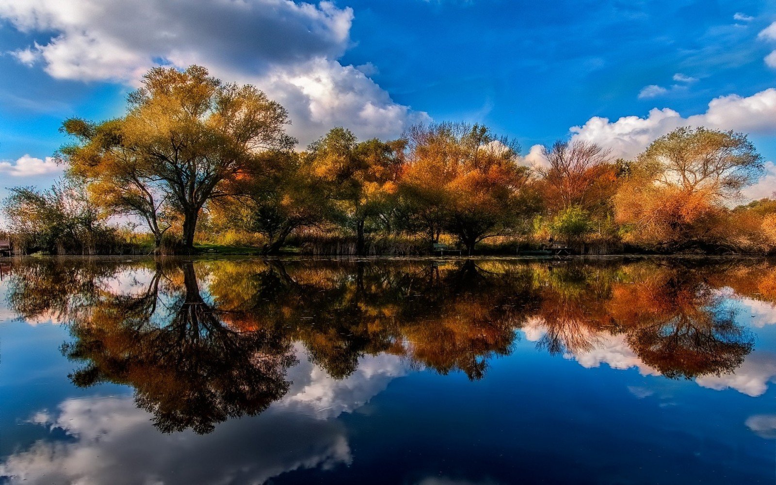 Осень Золотая деревья отражаются в воде