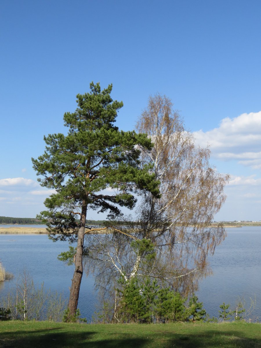 Озеро большие касли челябинская область. Озеро Иртяш Касли. Озеро Касли Челябинская область. Озеро малые Касли.