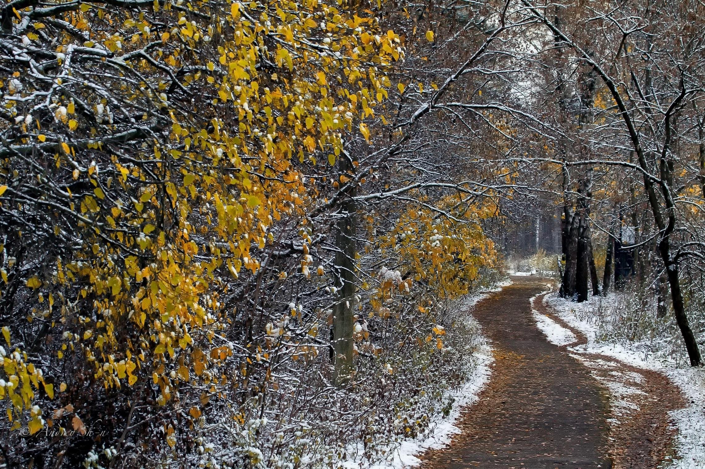 Последние дни уходящей осени. Уходящая осень фото. Аватарка осень со снегом. Осень уходящей Казани. Как уходит осень фото.