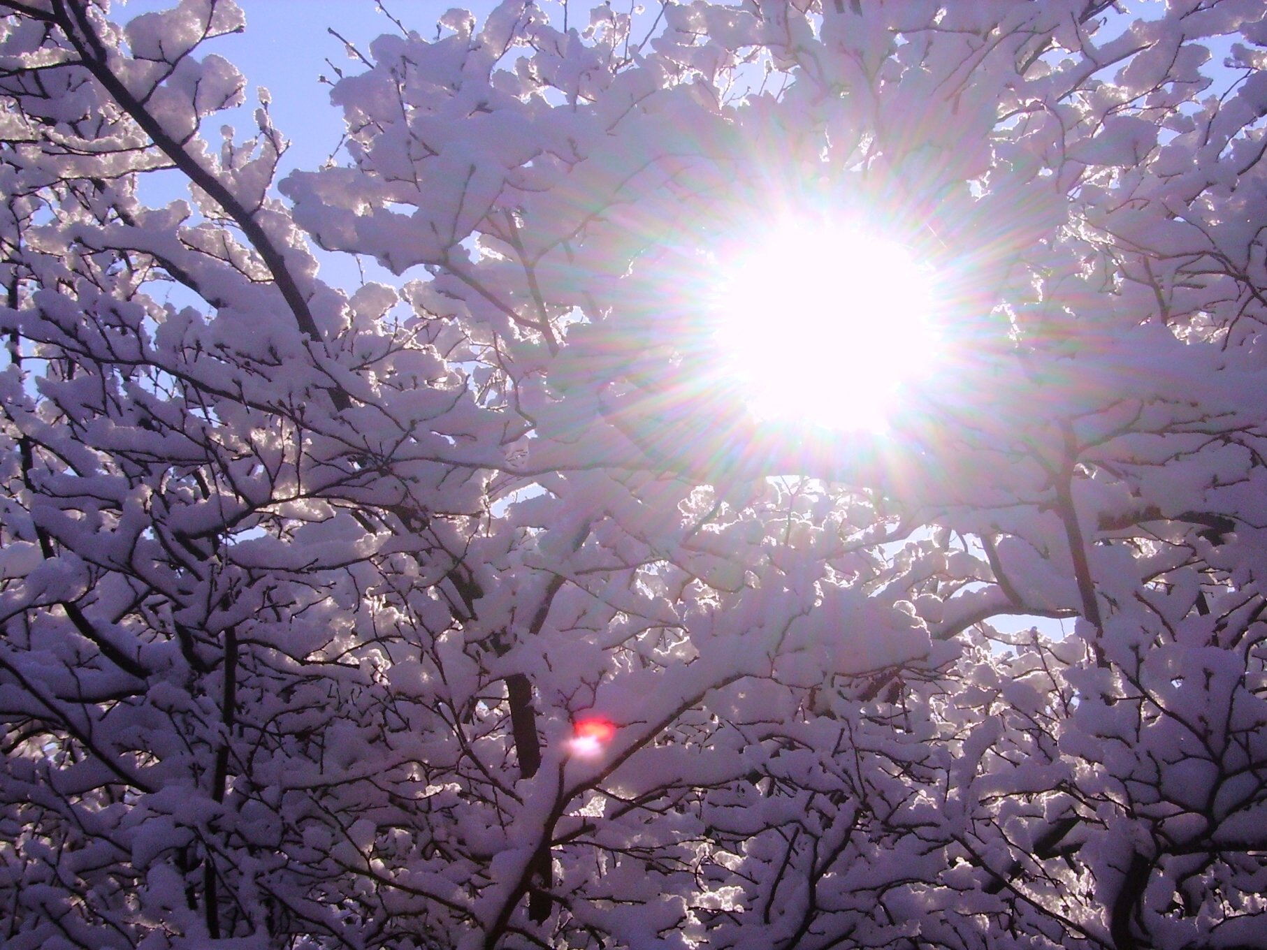 Первый день весны солнце. Весеннее солнце. Солнце весной. Зима солнце.