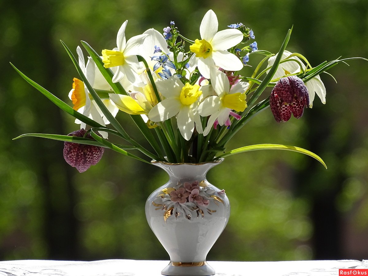 Добрый вечер весенние цветы. Весенние цветы в вазочке. Весенний натюрморт. Весенний букет в вазе. Натюрморт с весенними цветами.