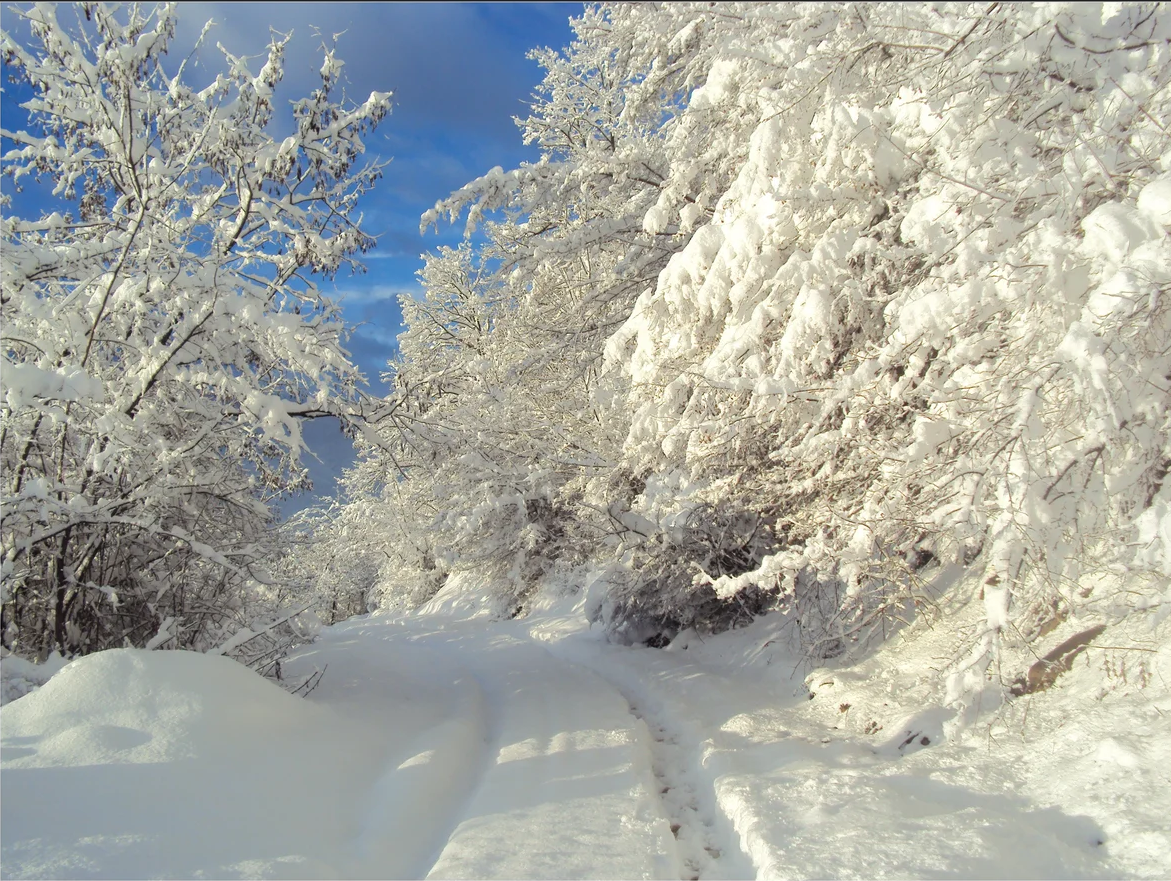 Зима в дагестане. Махачкала горы зимой. Зимние пейзажи Дагестана. Дагестан зимой.