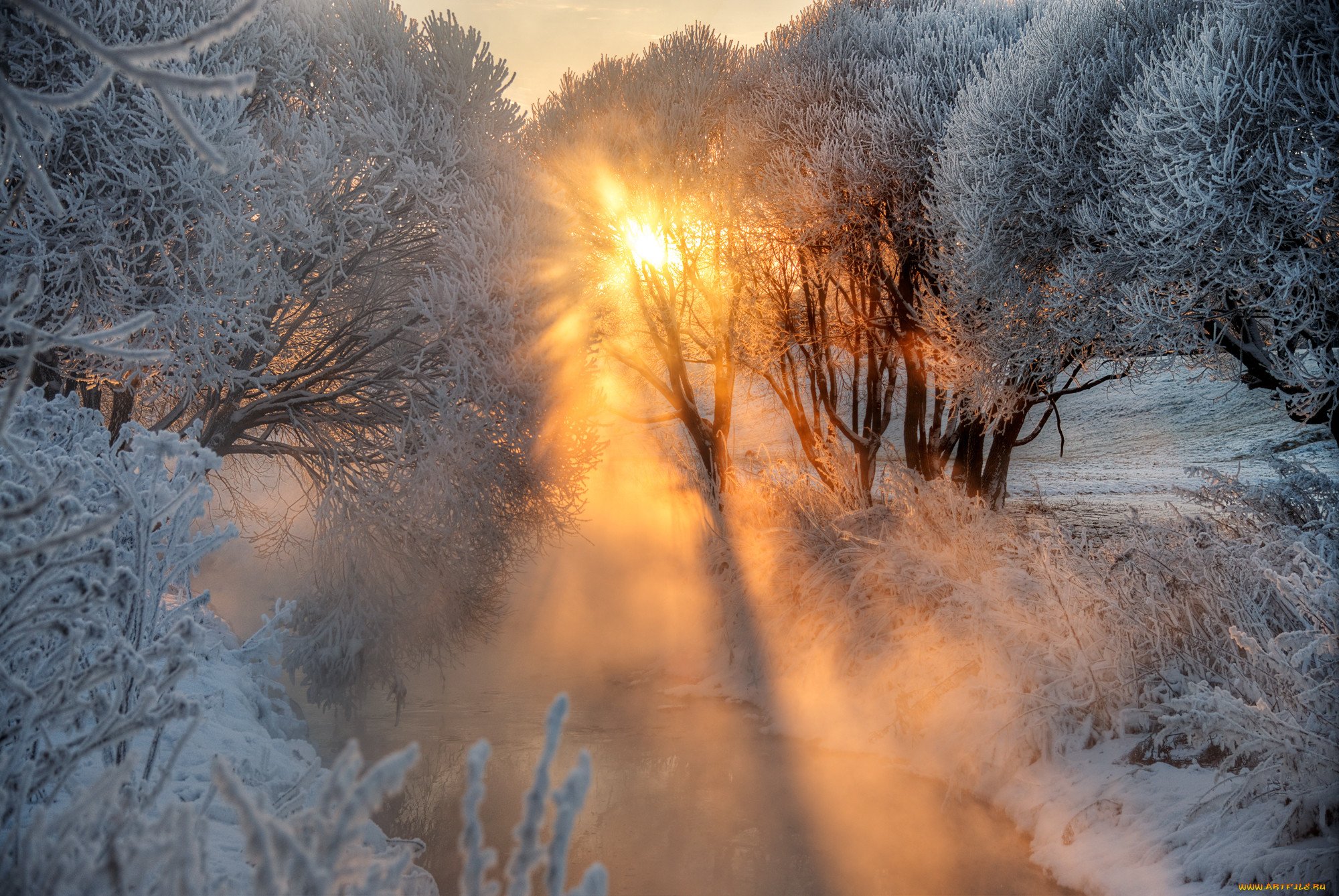 Январский день. Рассвет зимой. Зимний пейзаж. Зимний лес солнце. Зимнее утро.
