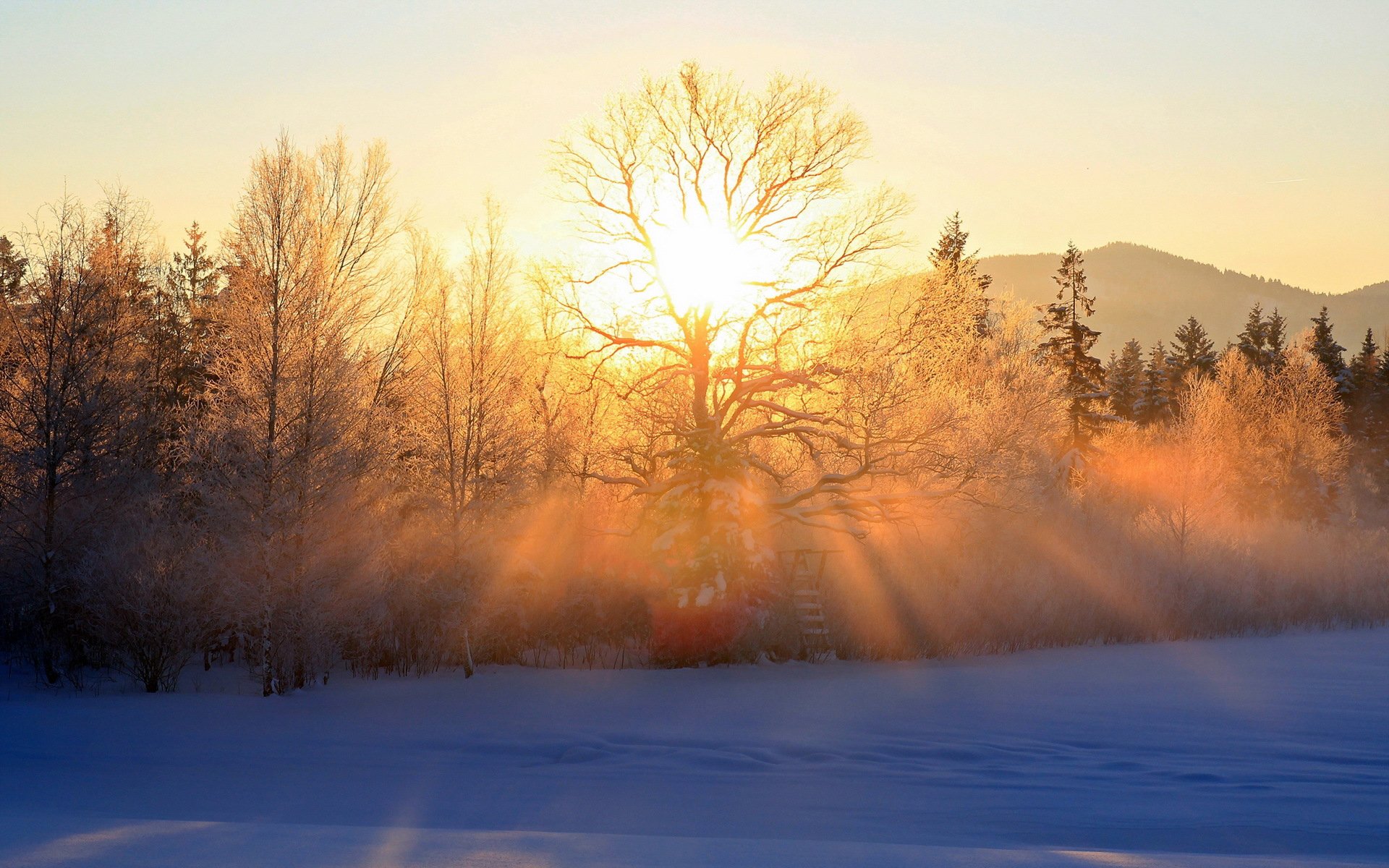 Солнце заходит зимой. Рассвет зимой. Зима солнце. Рассвет в зимнем лесу. Солнечное зимнее утро.
