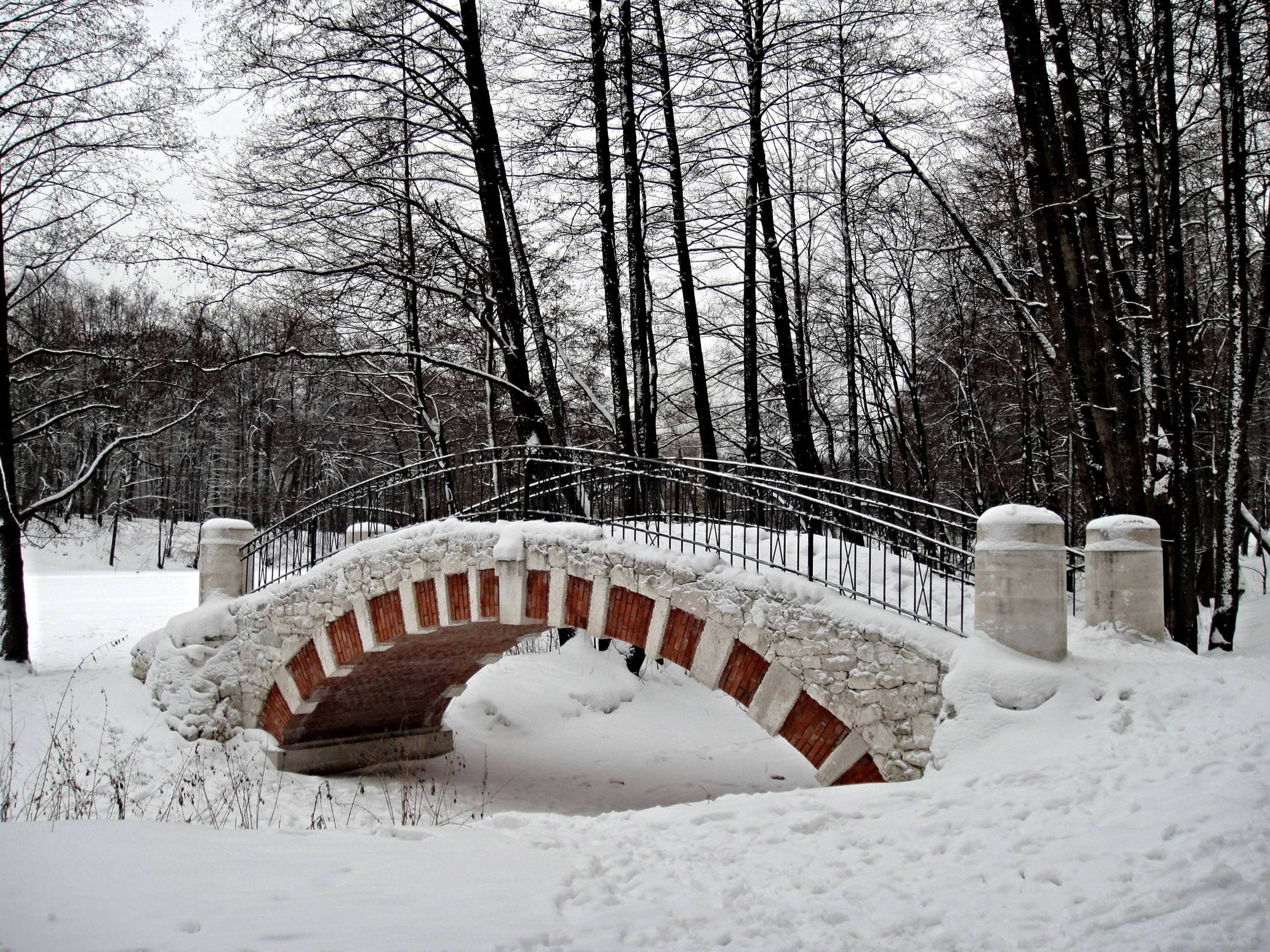 зима в парках мира