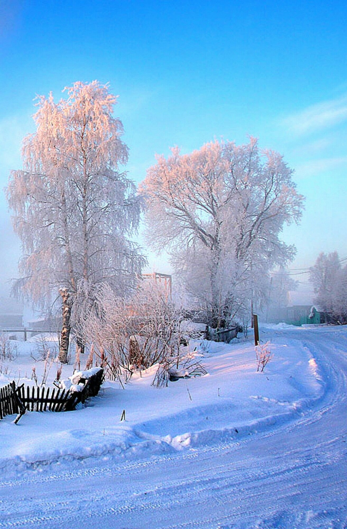 Январский день. Зимний пейзаж. Красивая зима. Прекрасные зимние пейзажи. Зимнее утро.