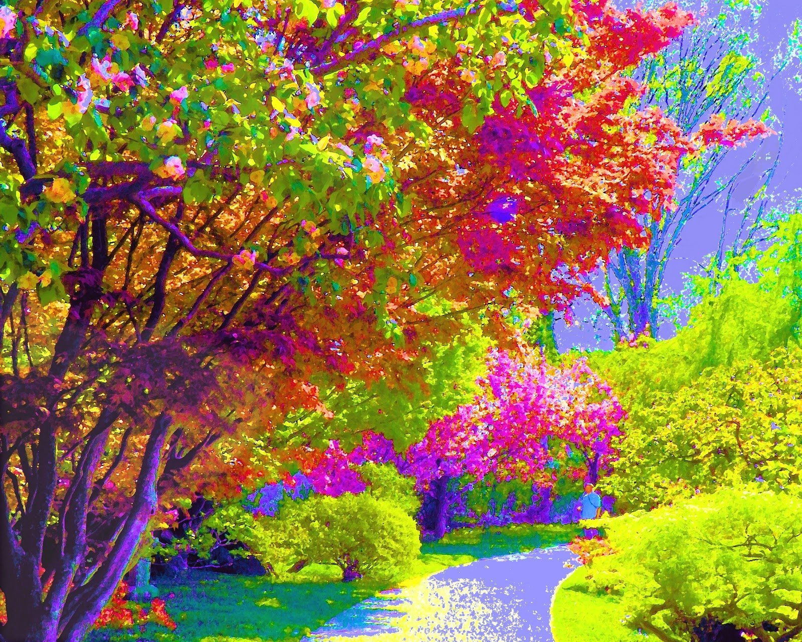 Яркие цвета природы. Разноцветное дерево. Яркие осенние краски. Краски природы. Красивая яркая природа.