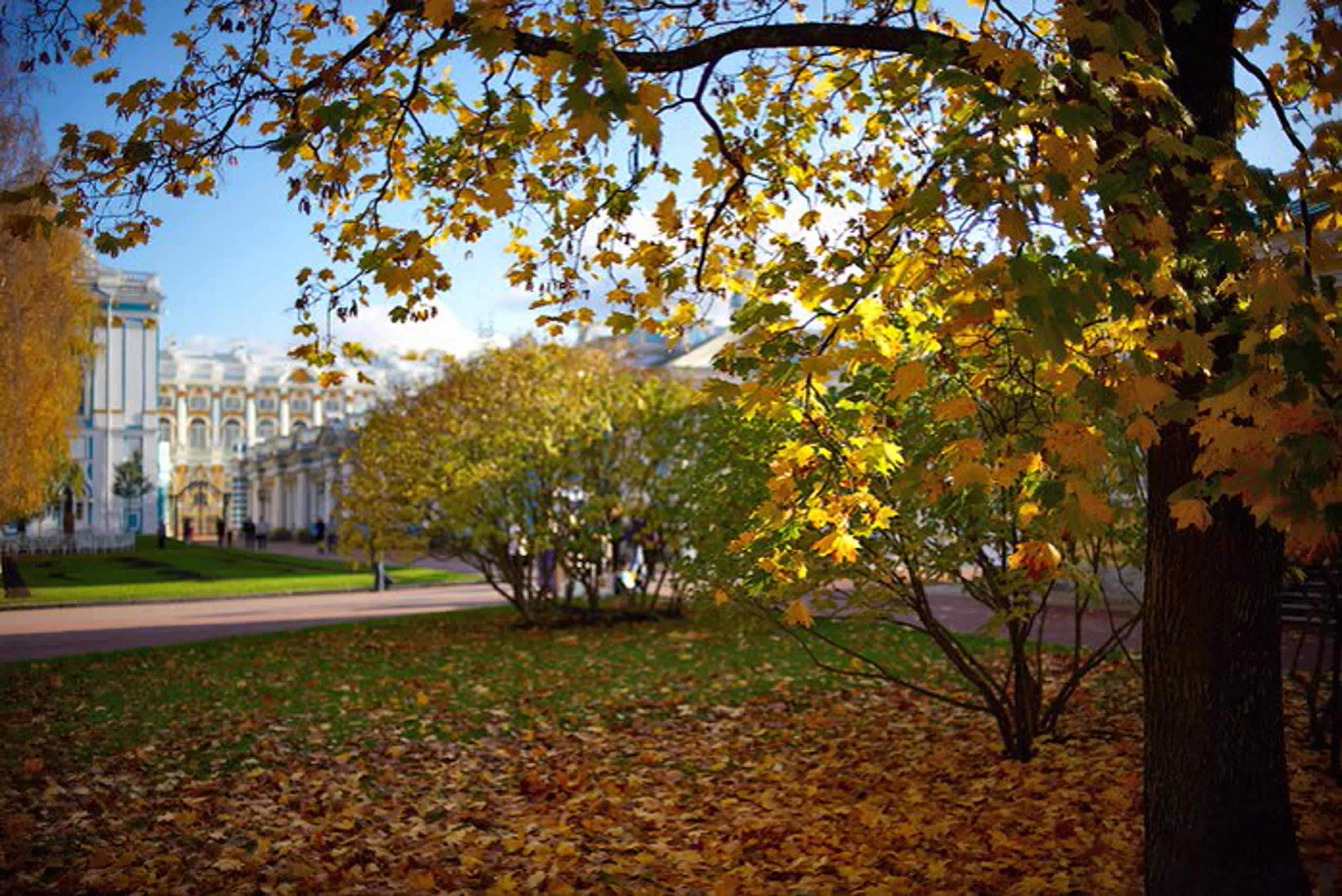 Царскосельский лицей Санкт Петербург сады
