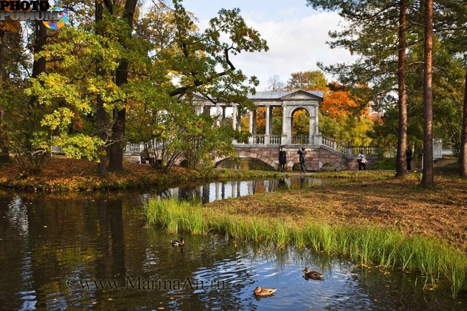 Царское село парк осенью