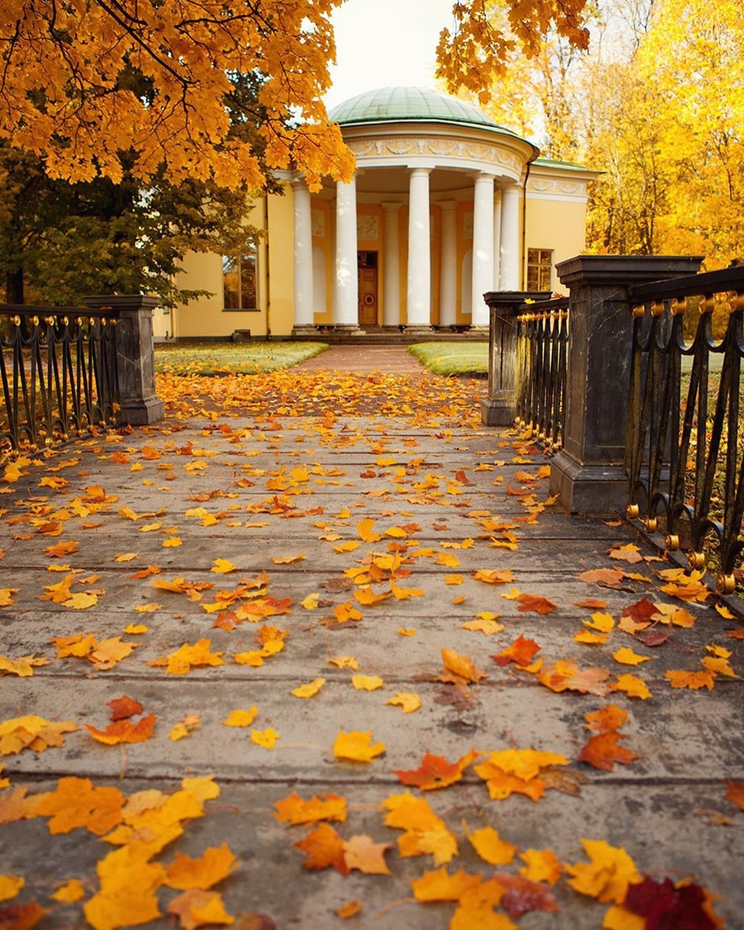 Царское село Золотая осень в Санкт-Петербурге