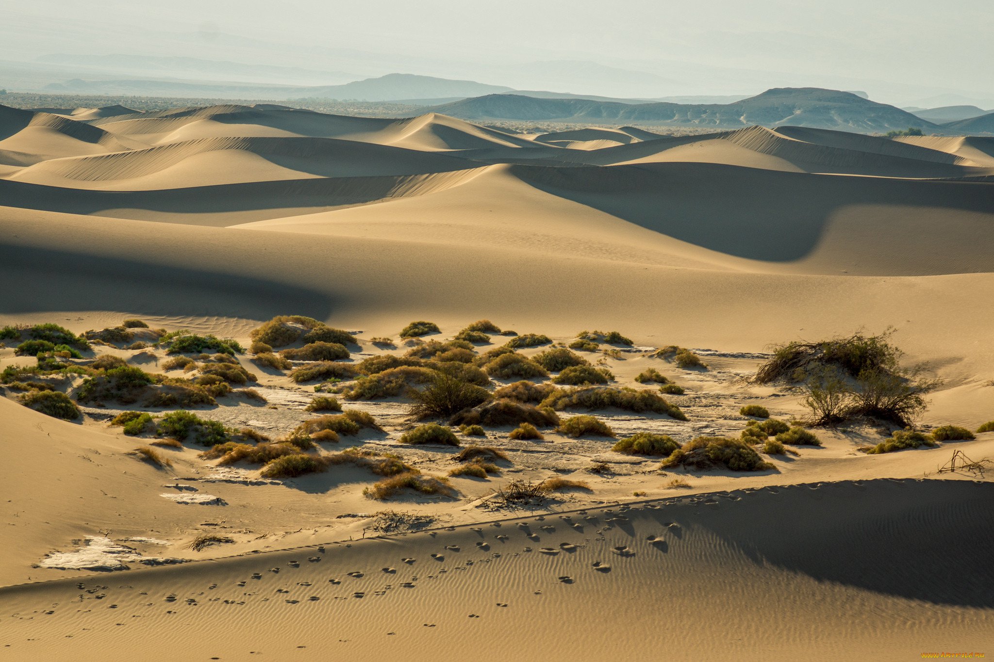 Фрагменты произведений о полупустыне. Бархан Сарыкум. Песчаные дюны рын-Песков. Рельеф пустыни и полупустыни. Пустыня сахара Барханы.