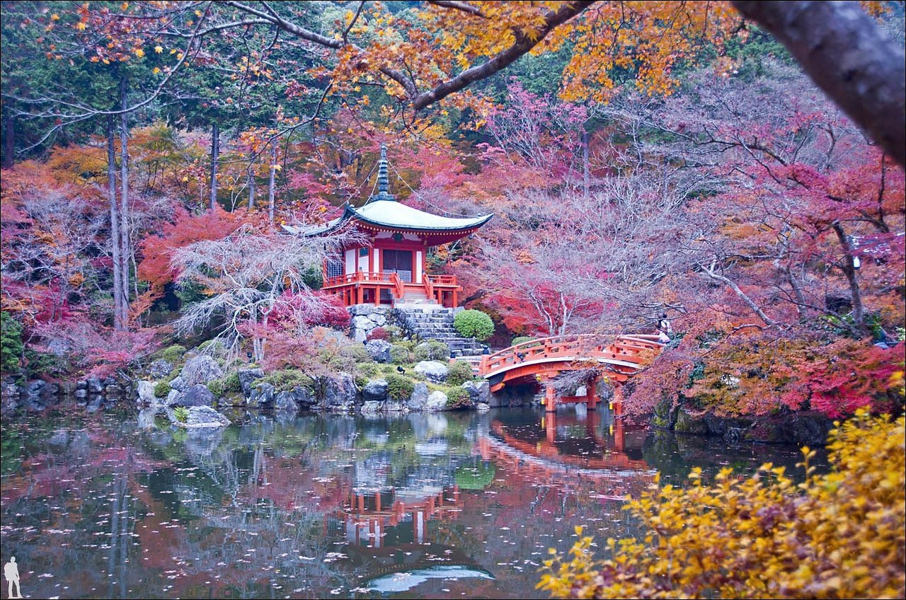 Забронировать столик в японском саду. Парк Киото Япония. Сады Киото Япония. Киото Япония природа. Киото Фудзияма.