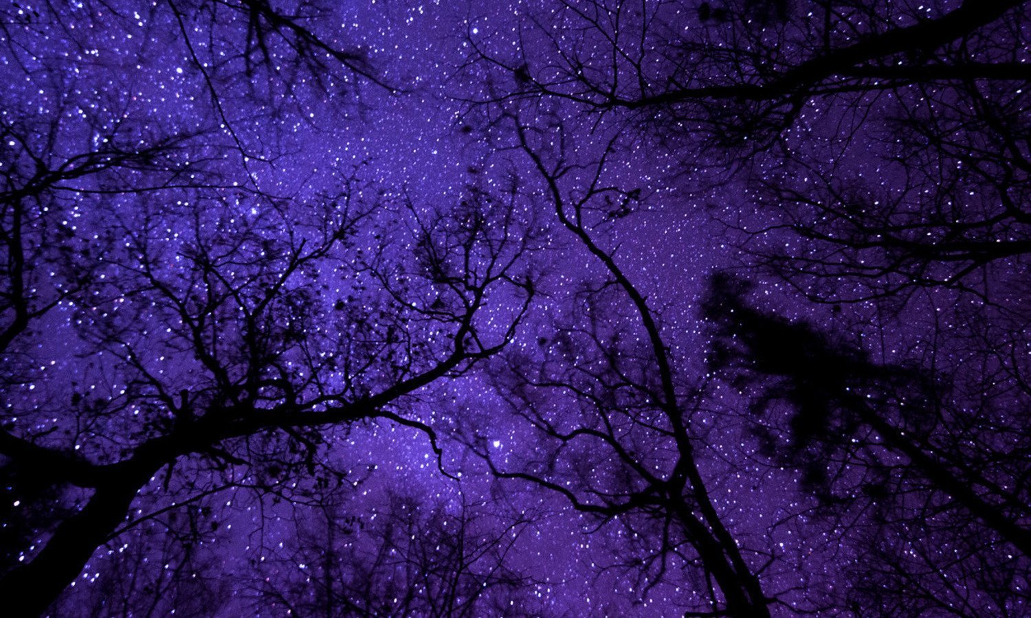 Цветная ночь. Фиолетовый лес. Красивый фиолетовый. Фиолетовое небо. Фиолетовое звездное небо.