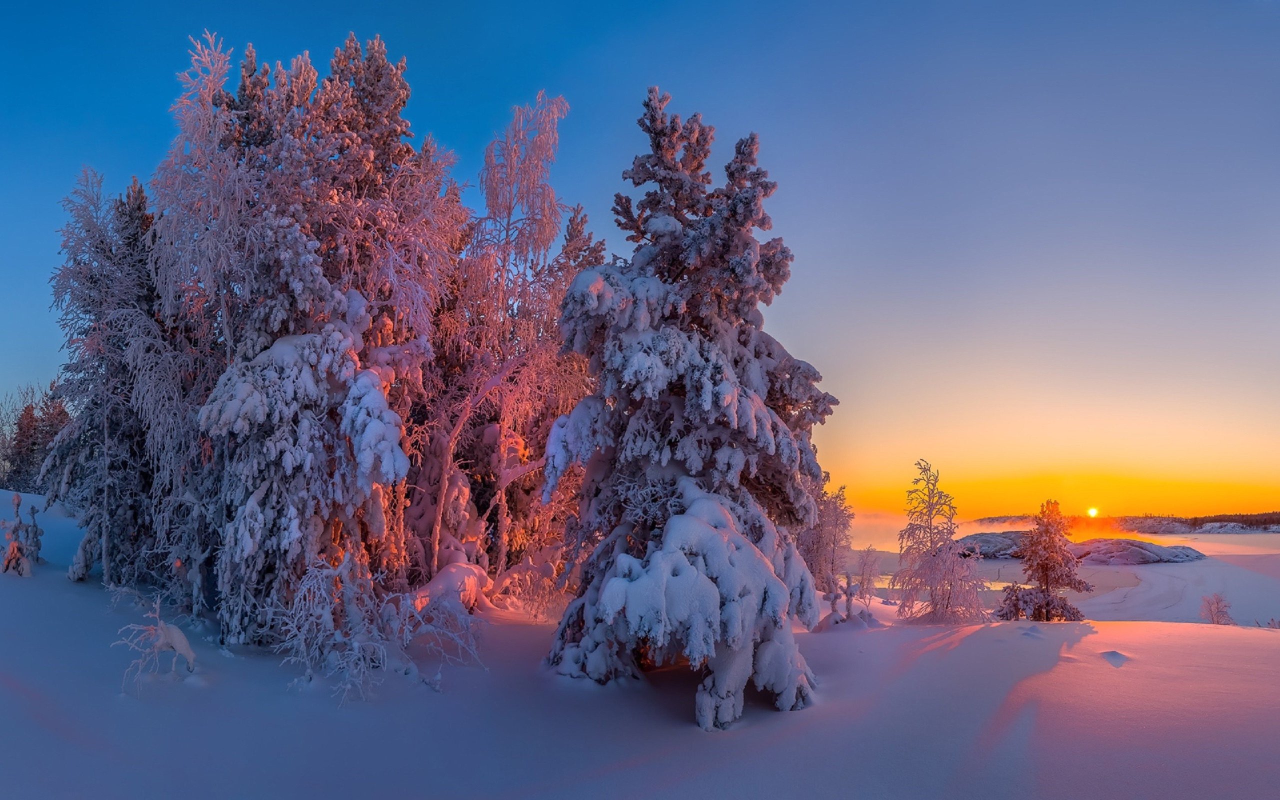 Самые красивые зимние картинки