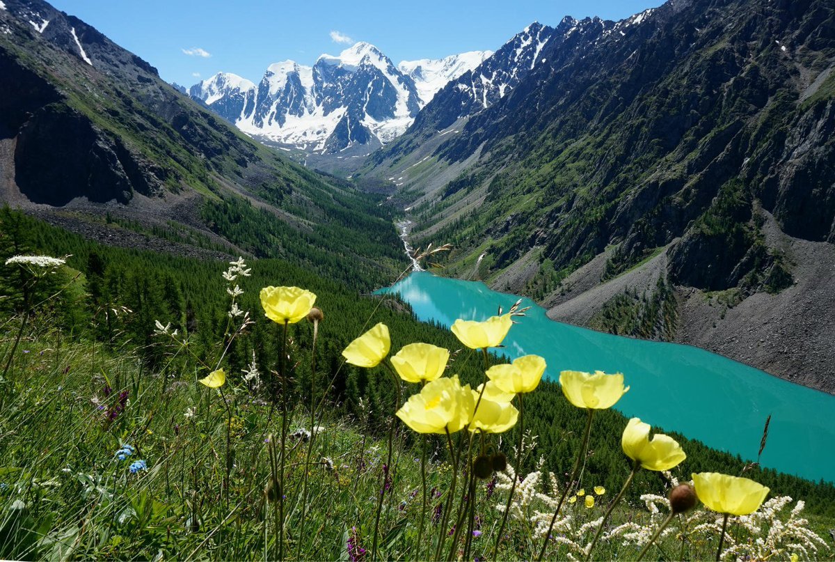 Алтайские горы летом