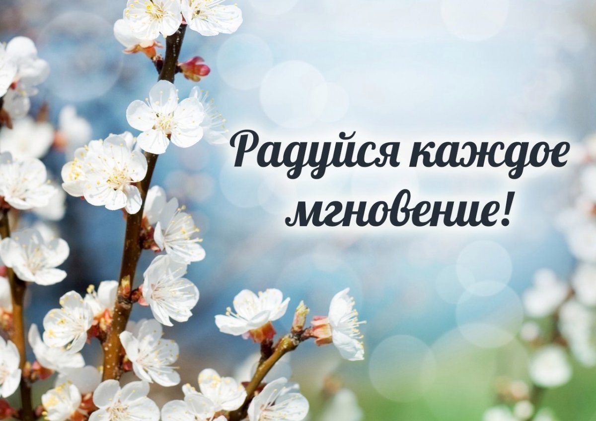 Стихи о весенних цветах русских поэтов