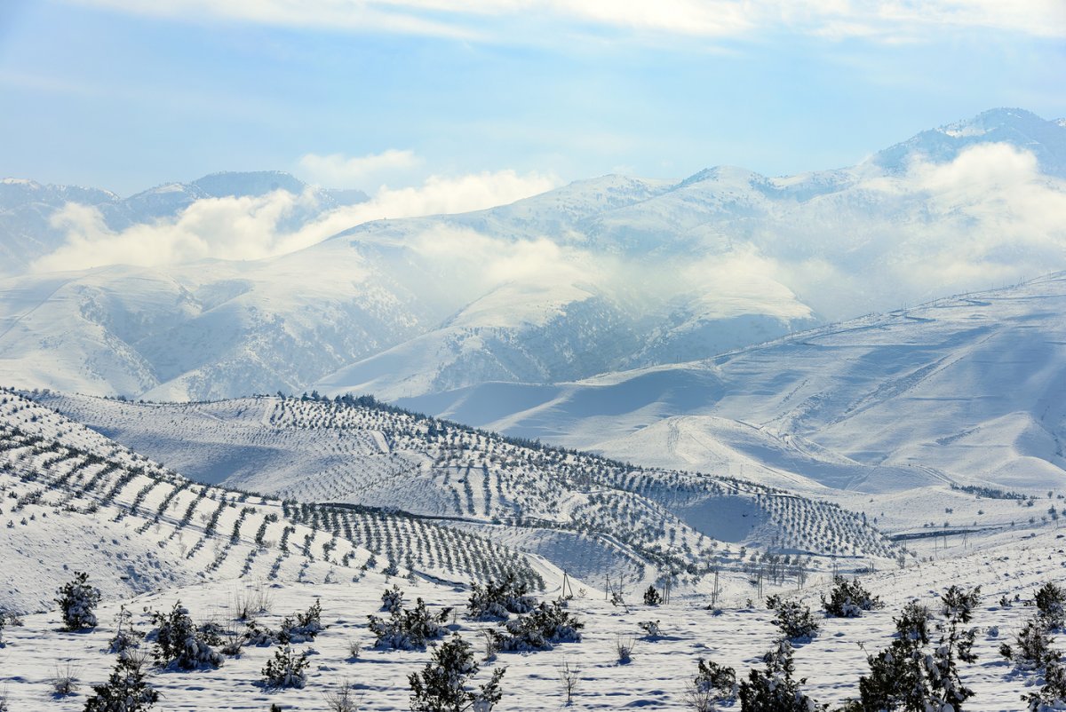 Дагестан зимой