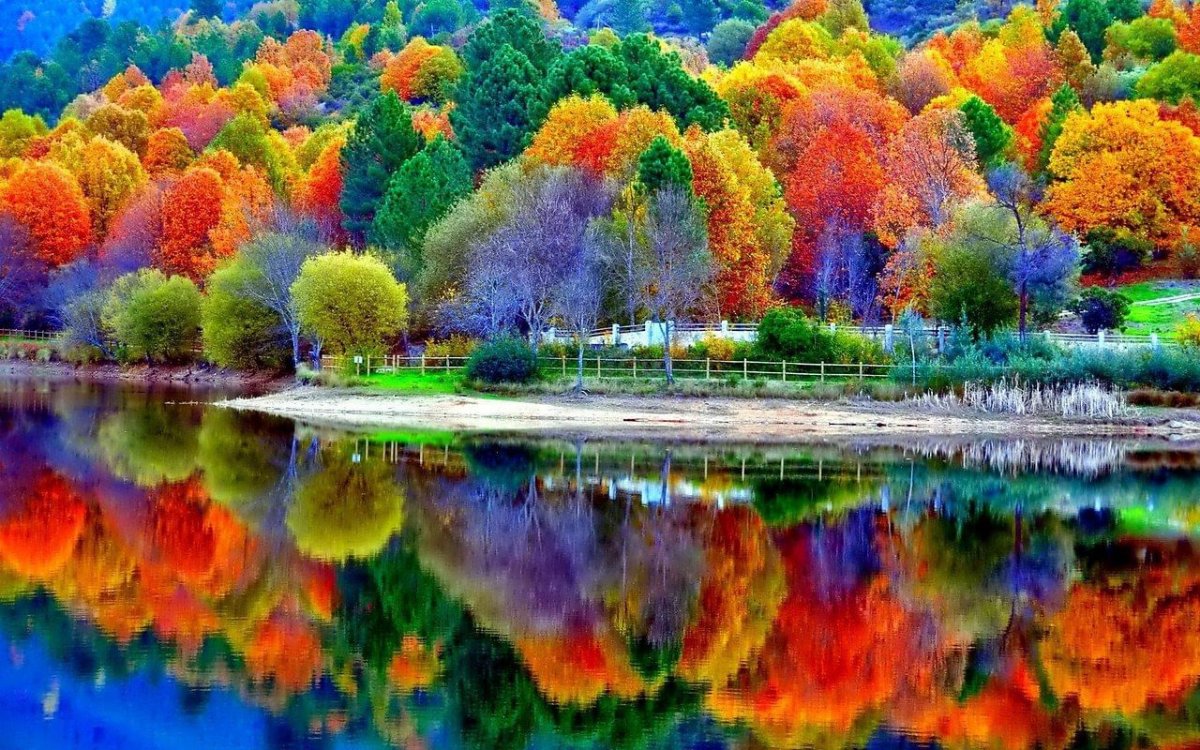 Разноцветная осень