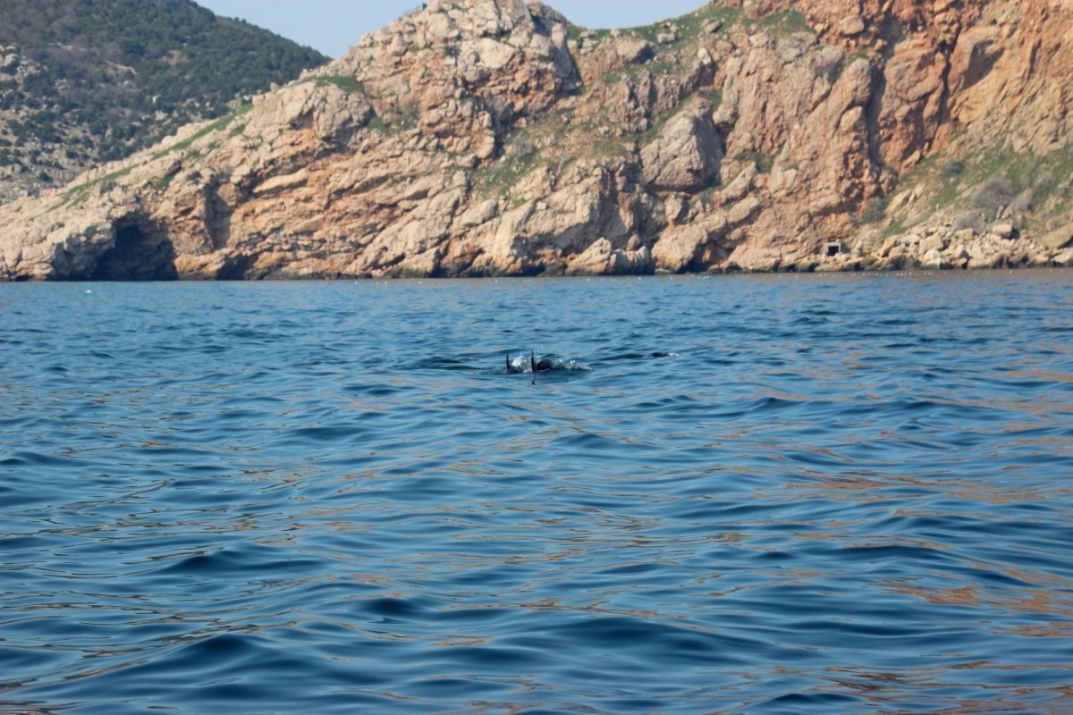 Гора Дельфин в Крыму