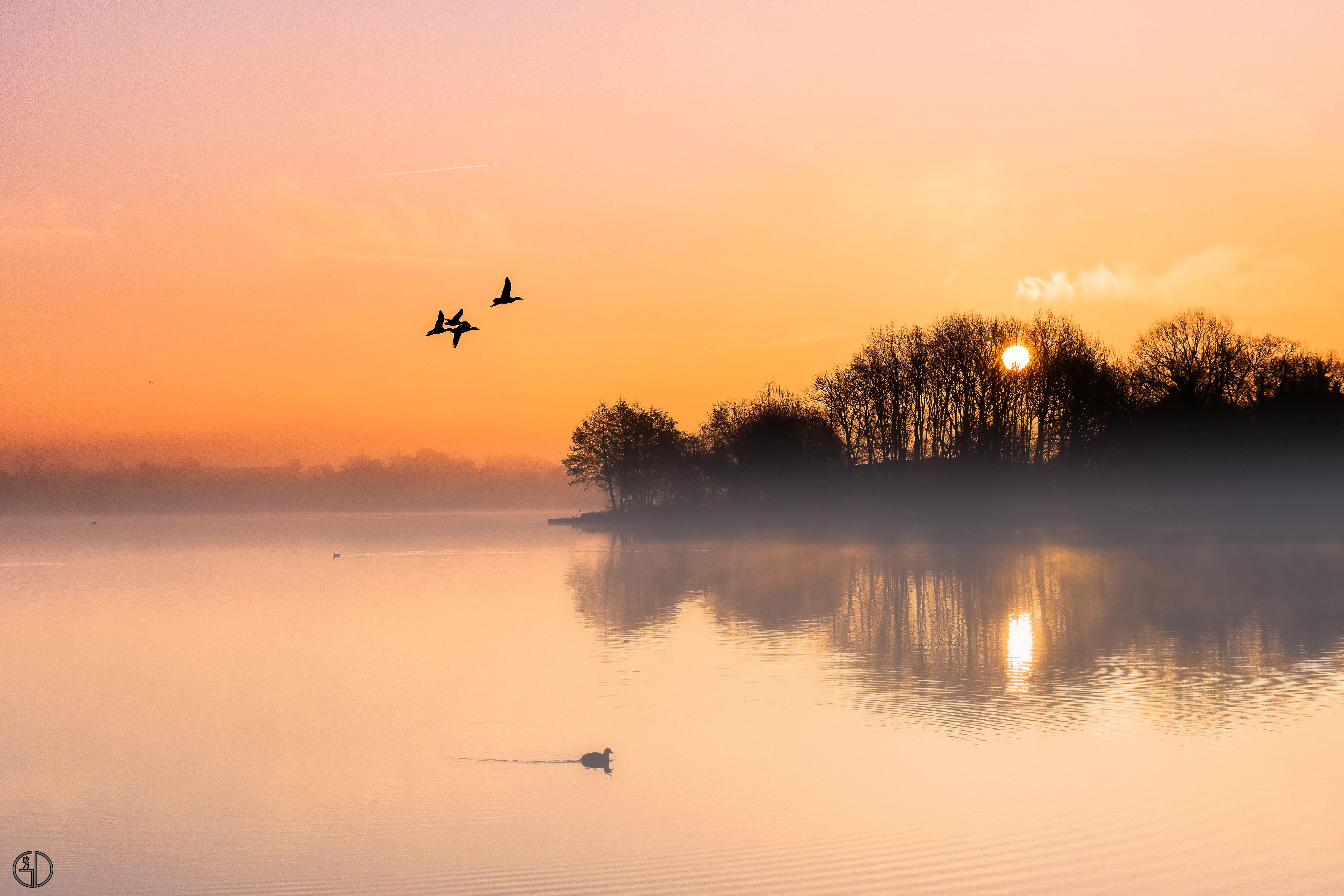 Паустовский туман. Закат над озером. Птицы над озером. Утки на рассвете. Птицы над рекой.