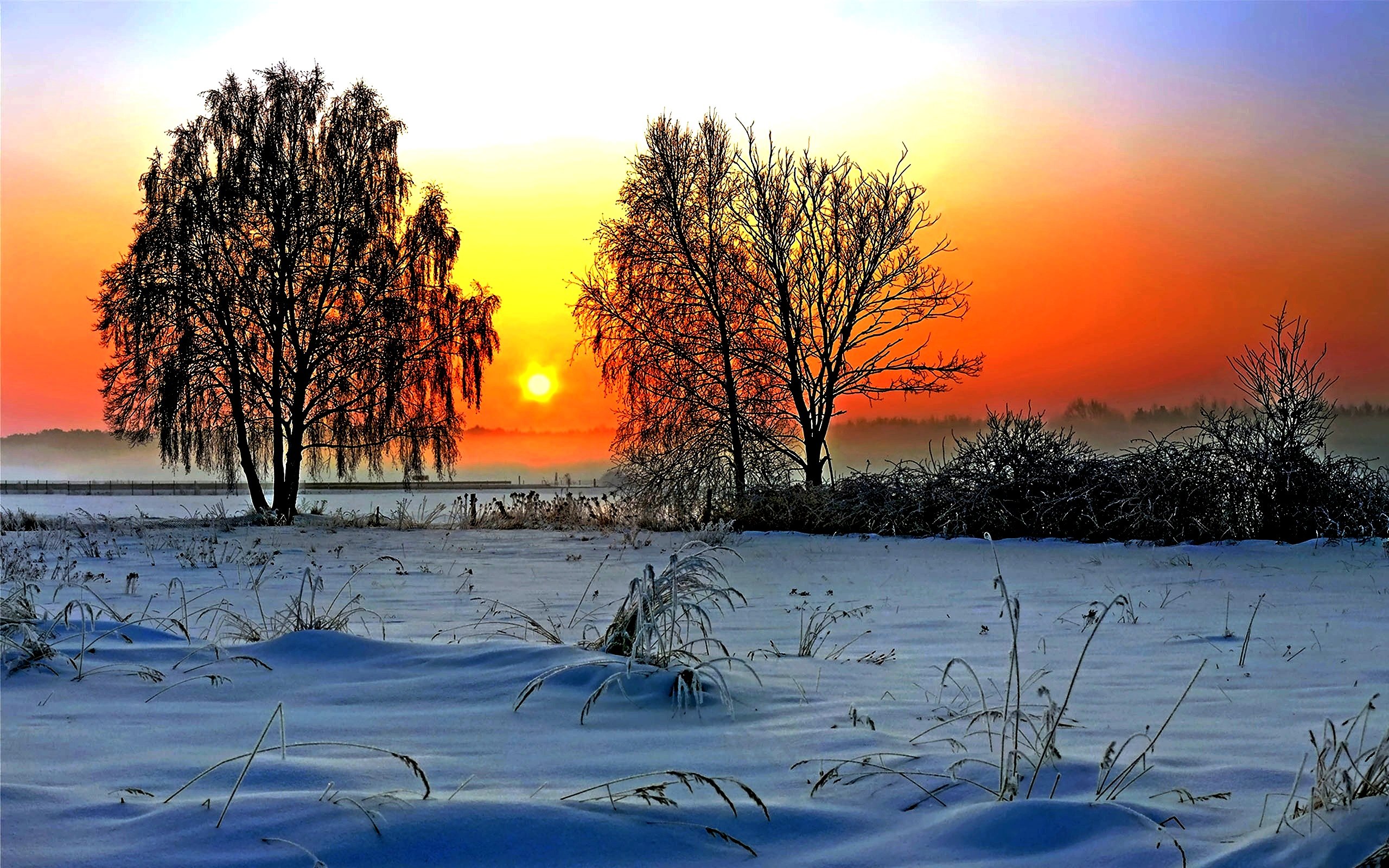 Утро природа февраль. Февральский пейзаж. Зимний закат. Морозное солнечное утро. Зимний Солнечный пейзаж.