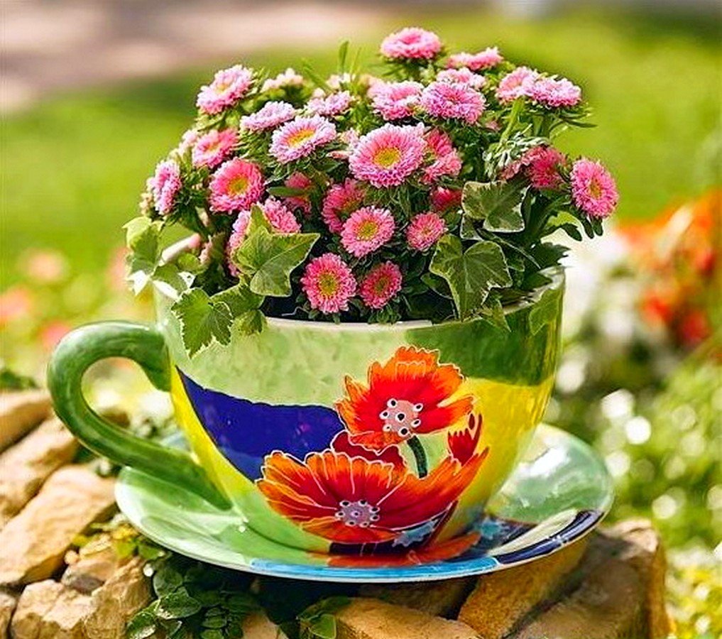 Утро доброе цветок необычный. Цветы в кружке. Лето в чашке. Красивые цветы в чашке. Цветочное настроение.