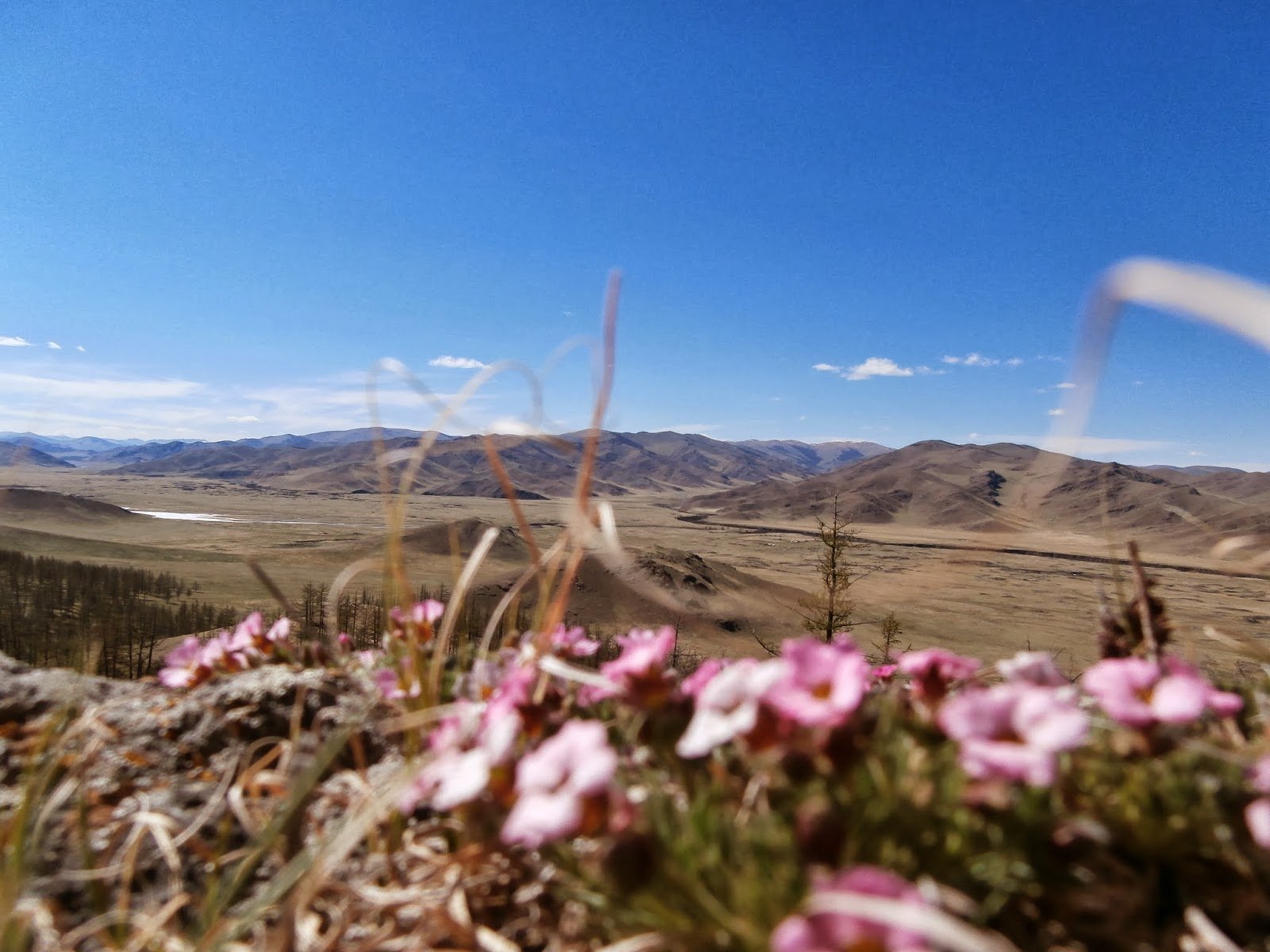 Монголия весной
