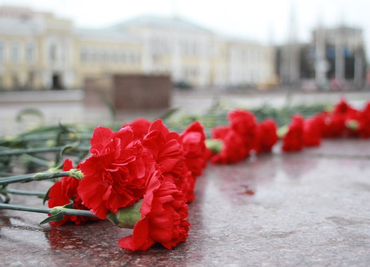 Гвоздики цветы на вечном огне