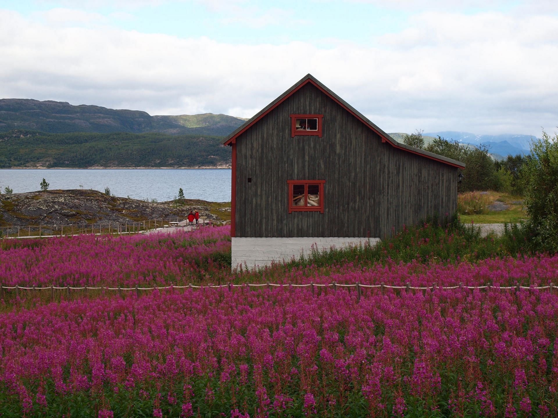 Растения Норвегии