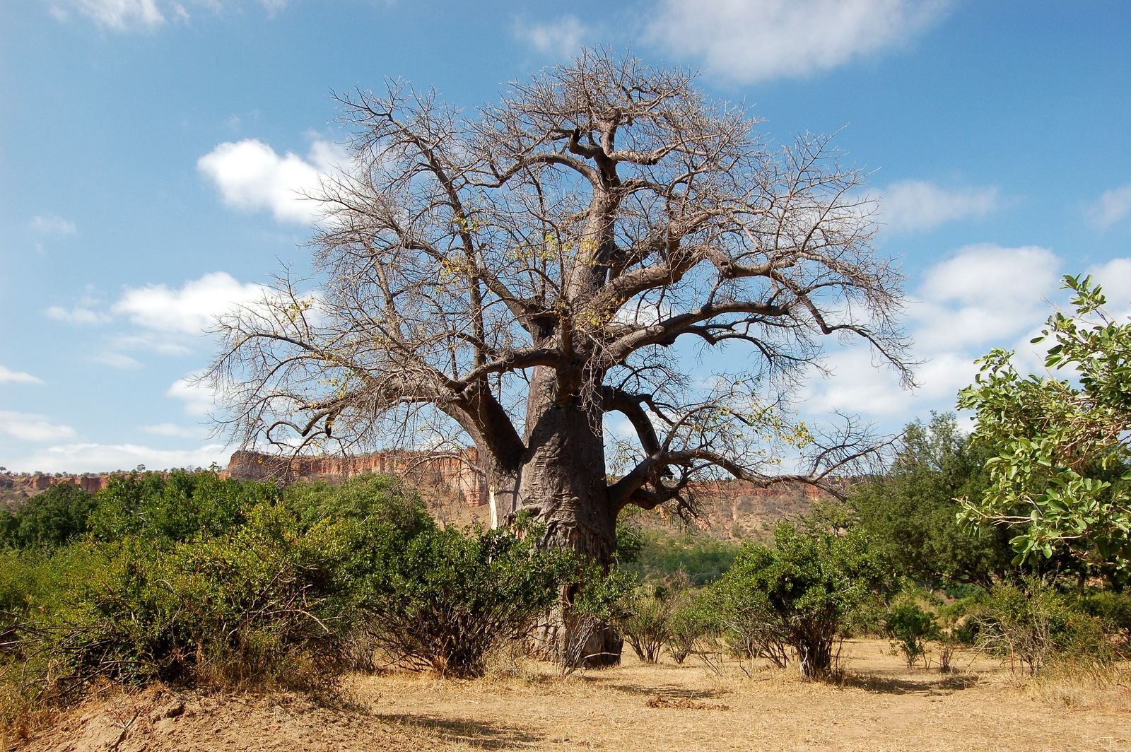 Национальный парк Гонарежу Зимбабве