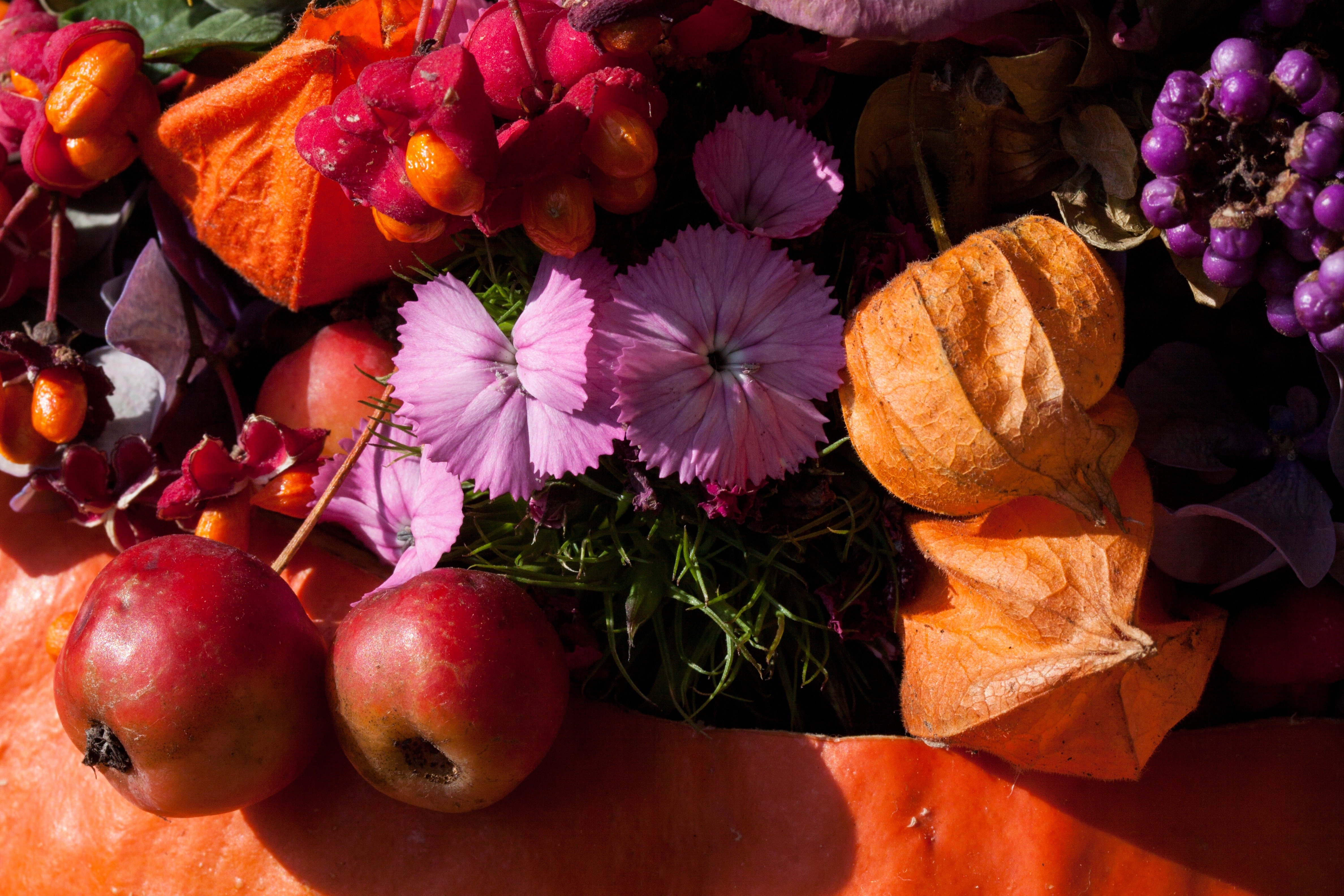 Осенние цветы природа. Осенние цветы. Осенние цветы и ягоды. Осенний букет. Осень фрукты.