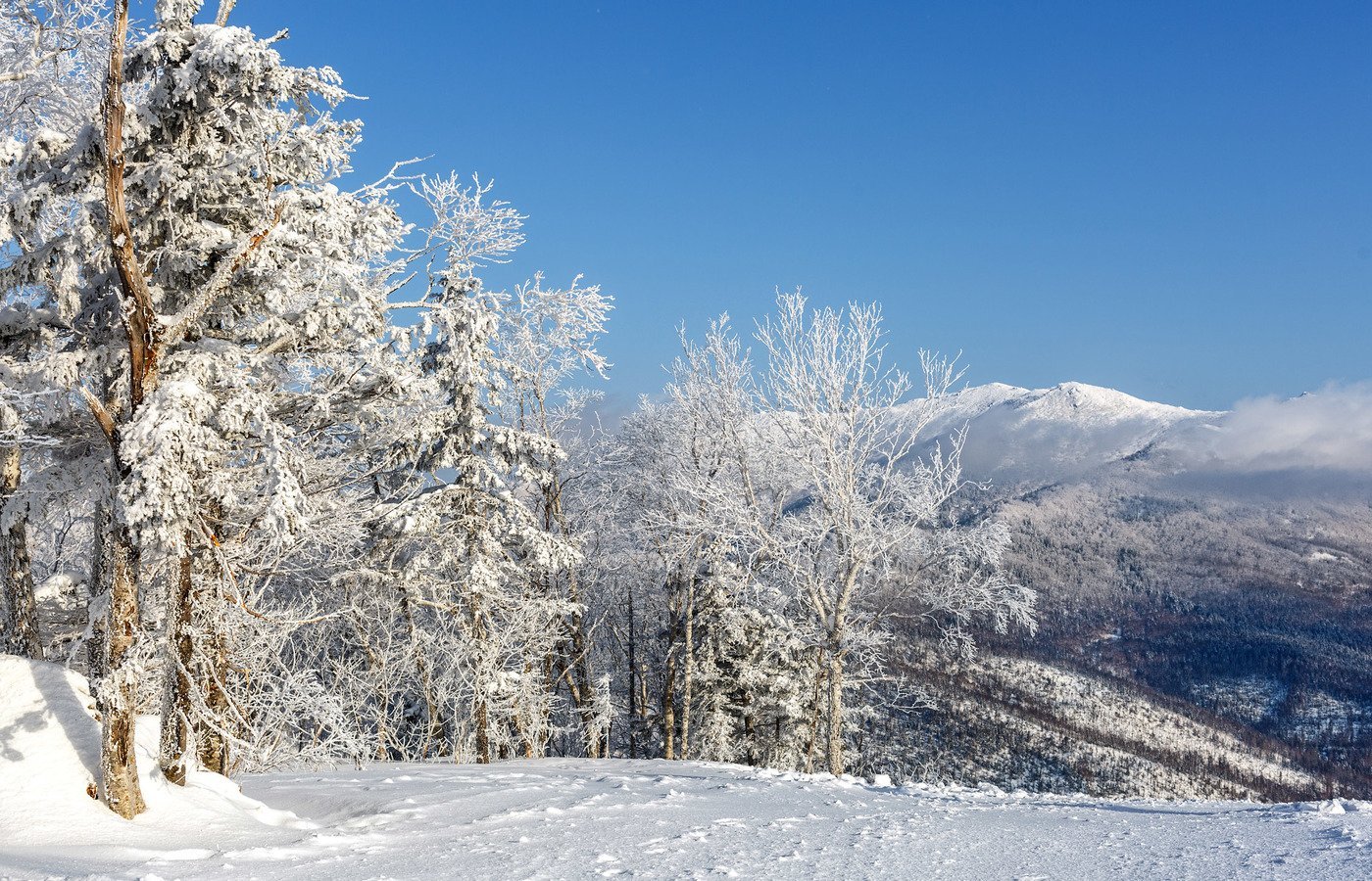 Зима 55. Южно-Сахалинск зима. Южно Сахалинск природа зима. Южно Сахалинск природа климат. Южный Сахалин зима.