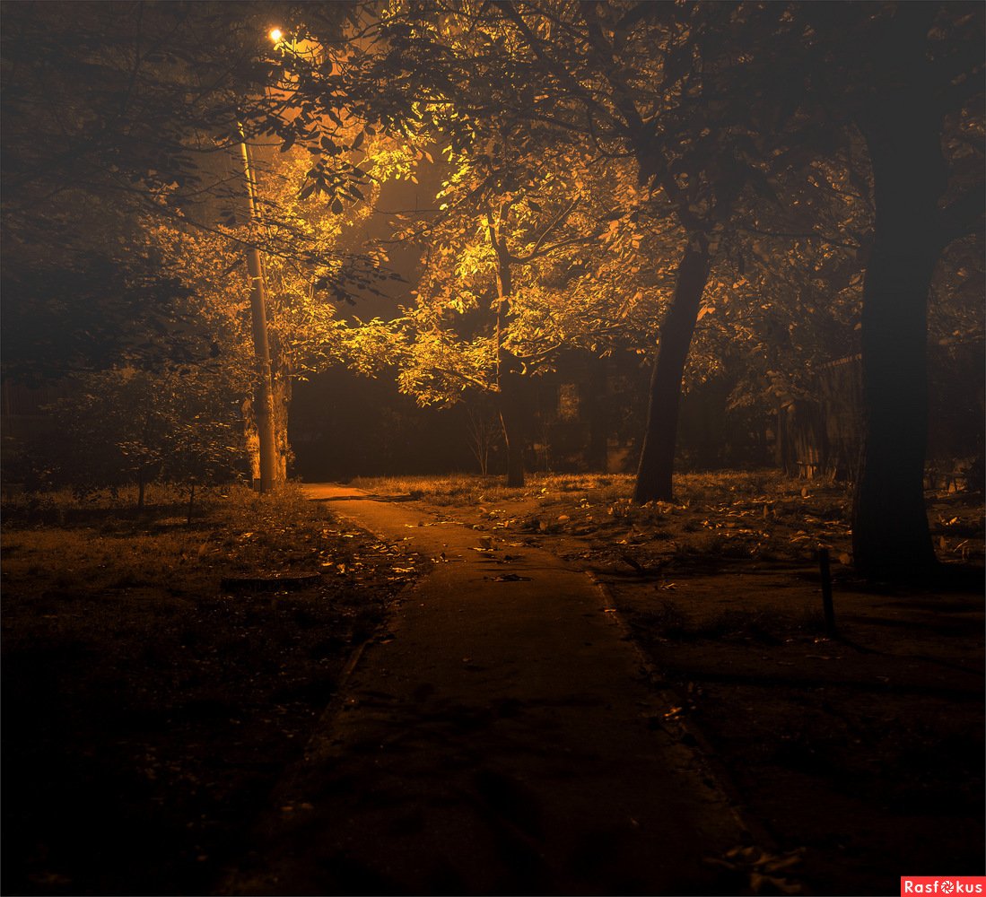 природа ночью сентябрь красивые картинки