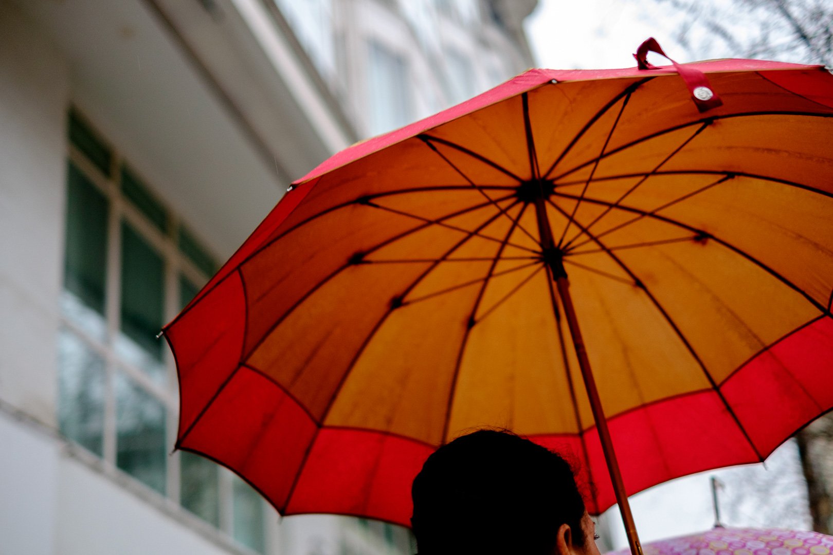 Любимый зонтик. Красный зонт. Экскурсия с красным зонтиком. Красные зонтики уличные. Зонт 2000 про.