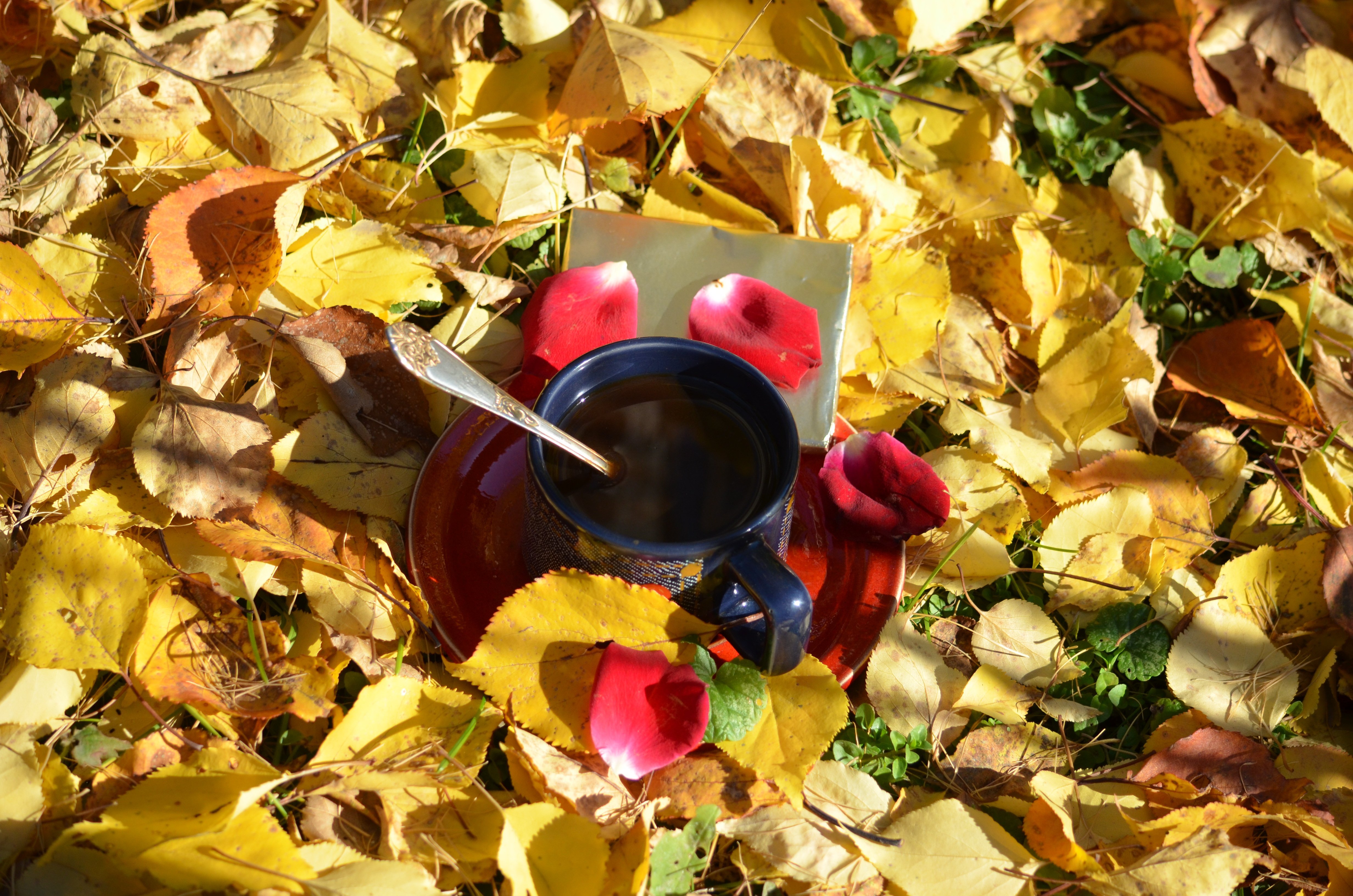Осеннее кофе. Осенний кофе. Осенний чай. Осень кофе. Предметы осени.