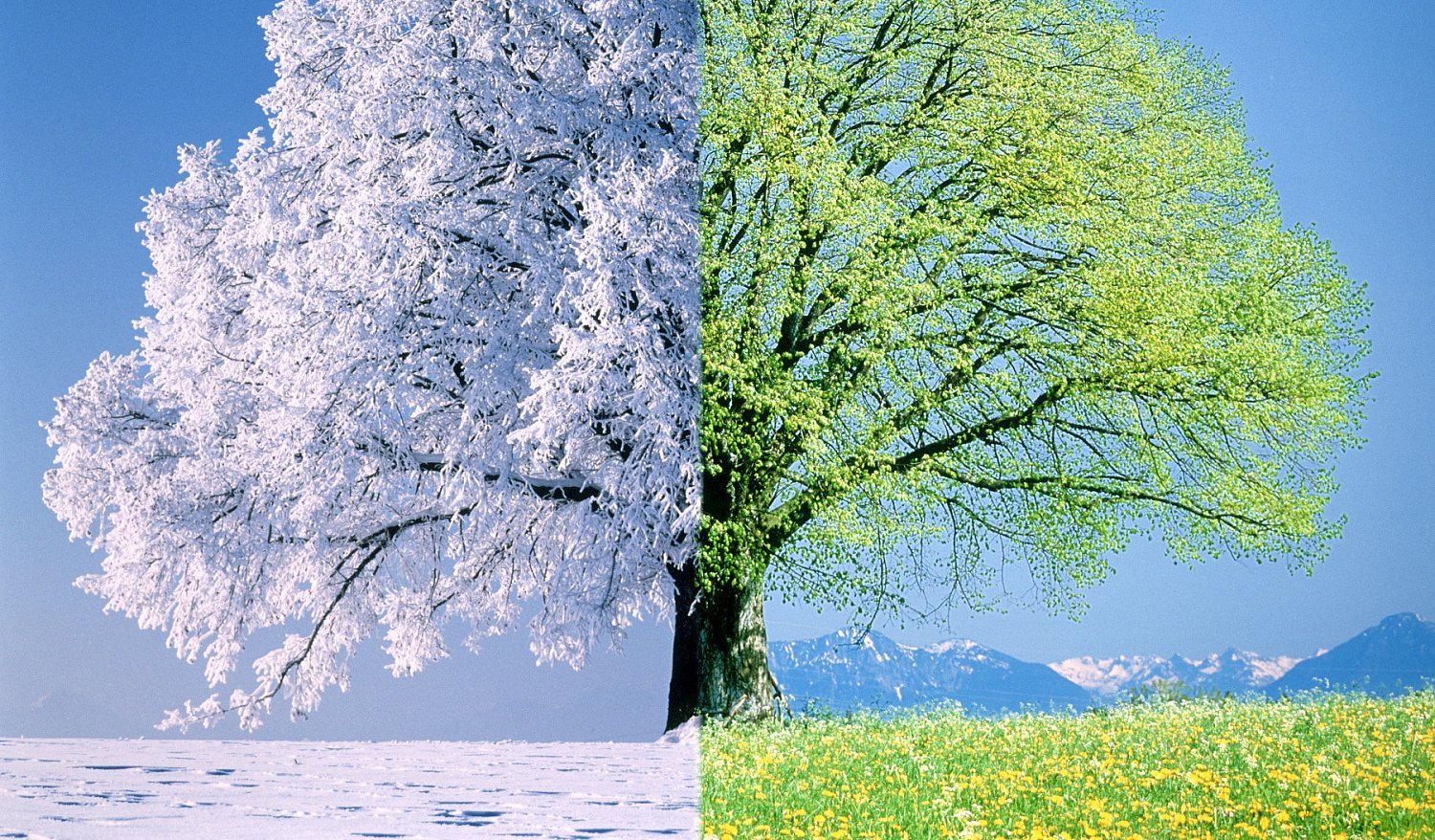 весна и осень картинки