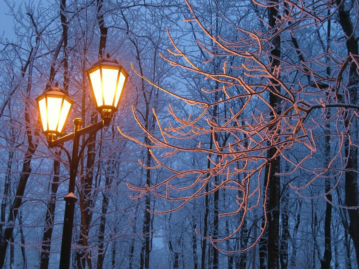 Зимний парк с фонарями