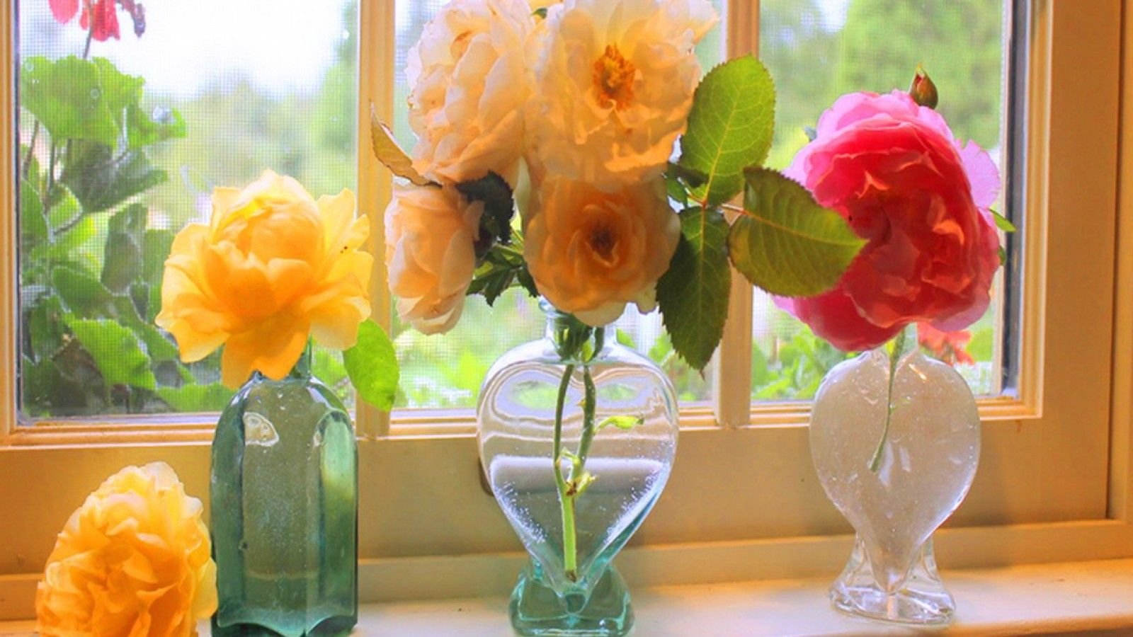 Цветы в вазе у открытого окна