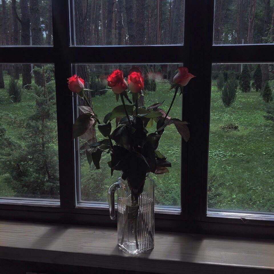 Цветы на окне