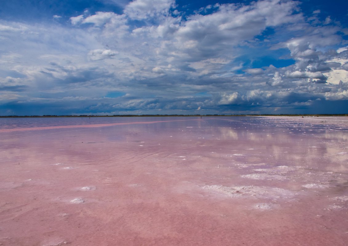 Яровое розовое озеро