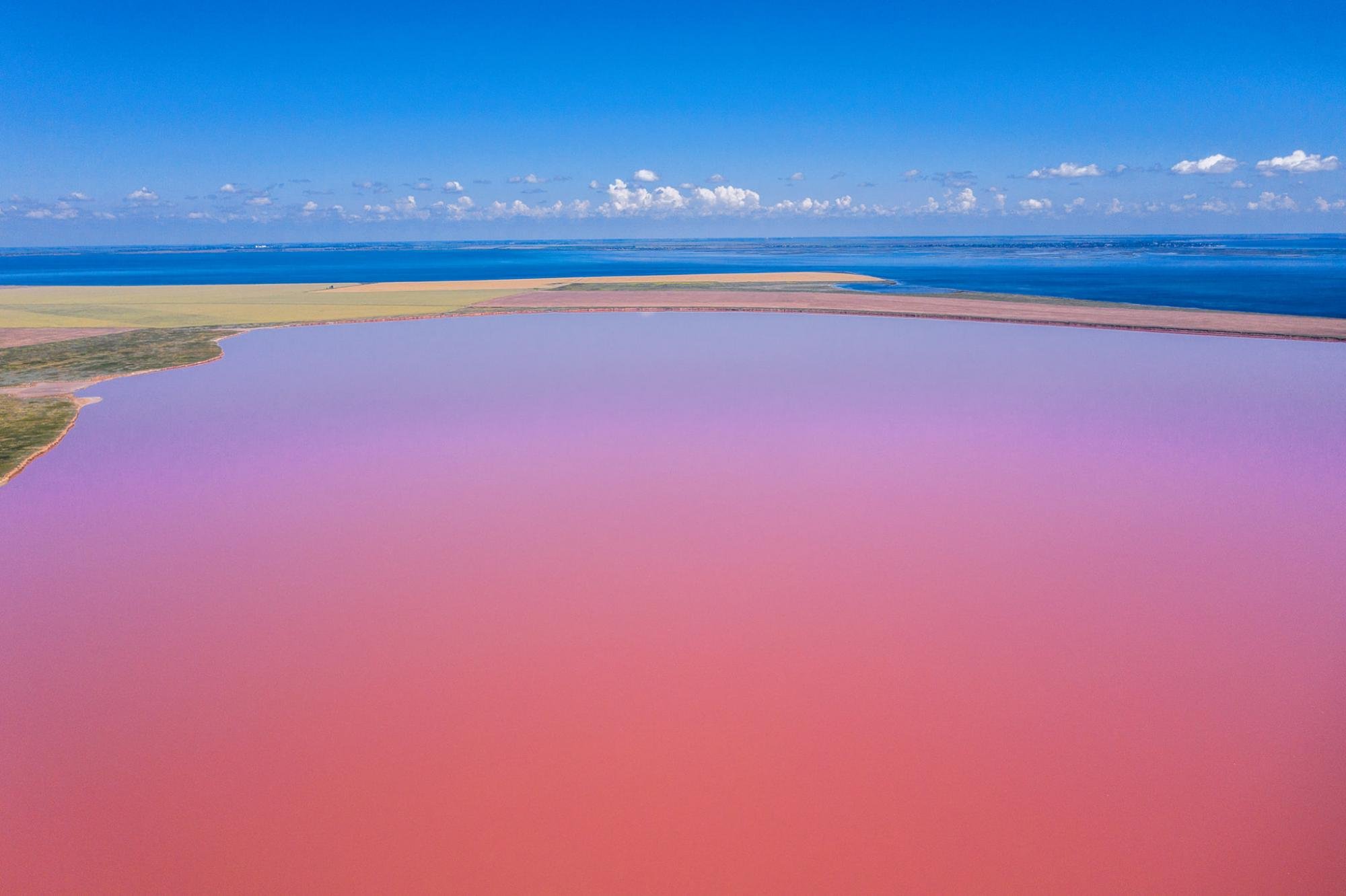 Есть розовое озеро. Озеро Ретба Сенегал. Озеро Хиллер (остров Миддл). Розовое озеро Геническ. Розовое озеро Хиллер.