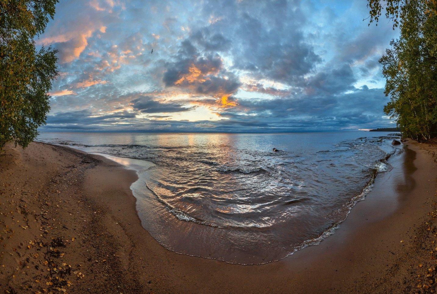 Ладожское озеро побережье. Берег Онежского озера, Карелия. Онега Онежское озеро. Ладожское озеро Южный берег. Ладога озеро песчаный берег.
