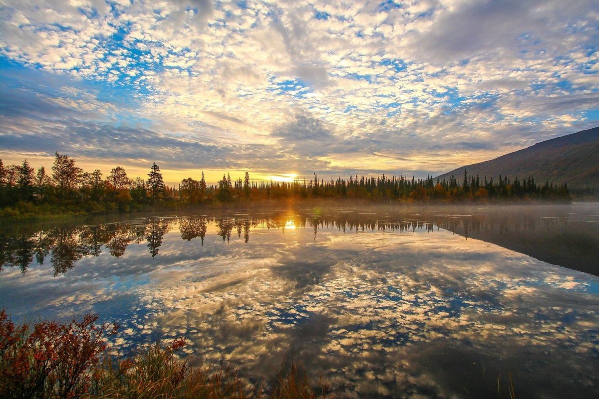 Озеро на севере страны. Ловозеро и Сейдозеро. Мурманск озеро Ловозеро. Сейдозеро Кольский полуостров. Ловозерские тундры Сейдозеро.