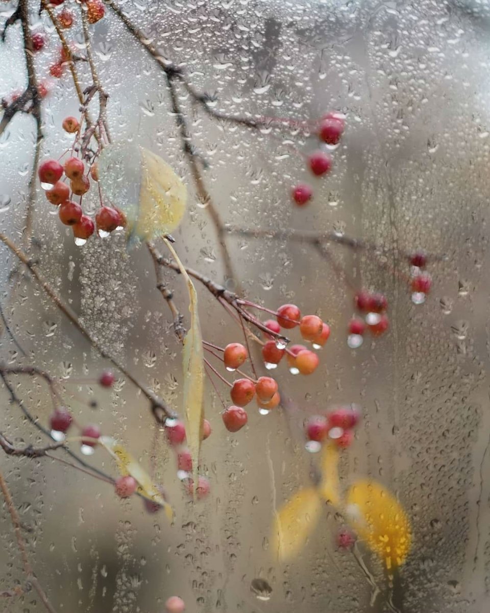 дождь осенью фото красивые картинки