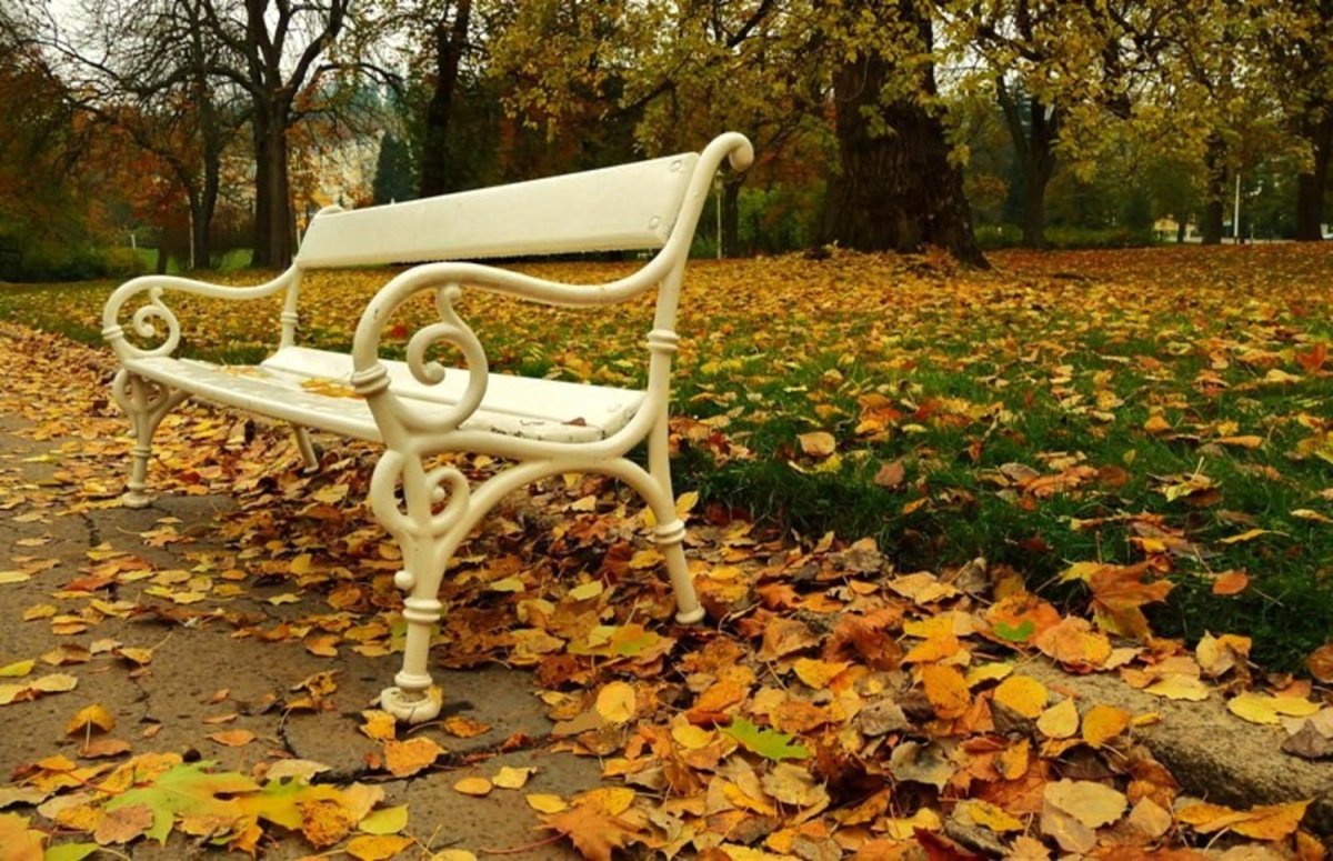 красивые скамейки в парках