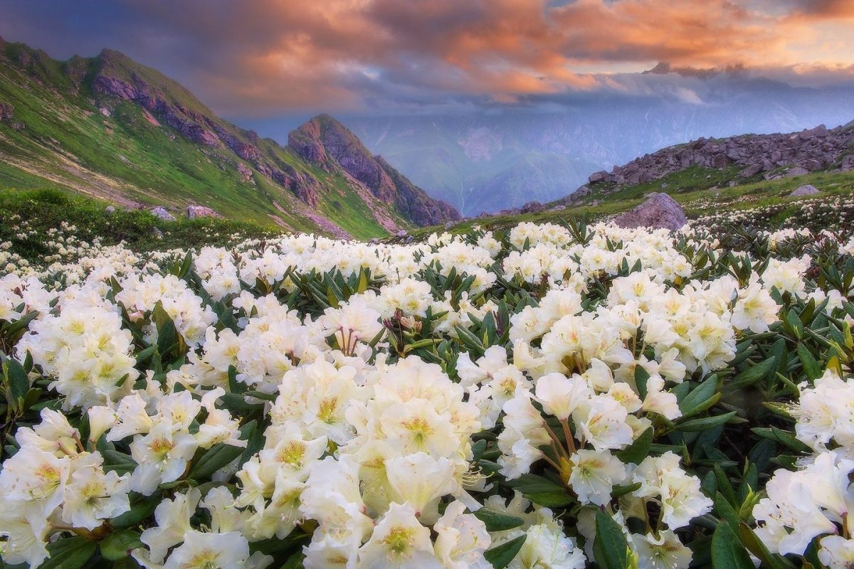 Северная Осетия весной