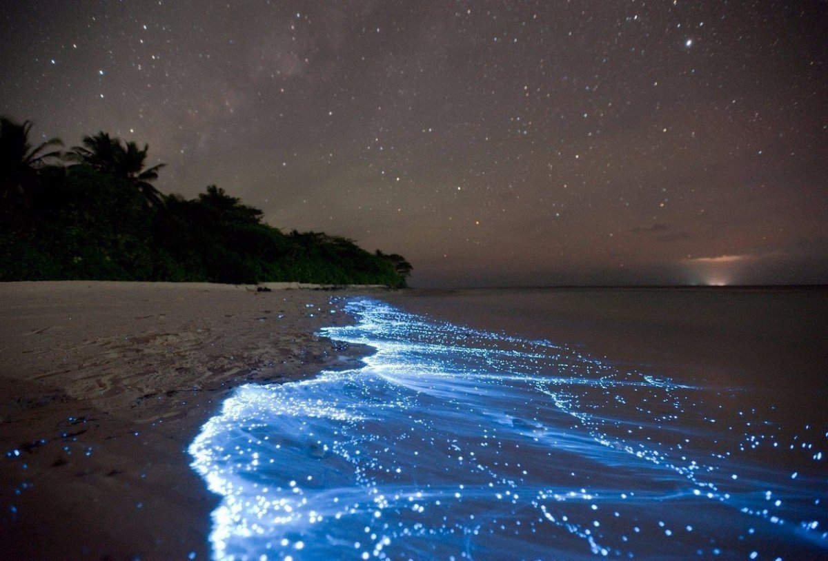 Звездное небо на Мальдивах